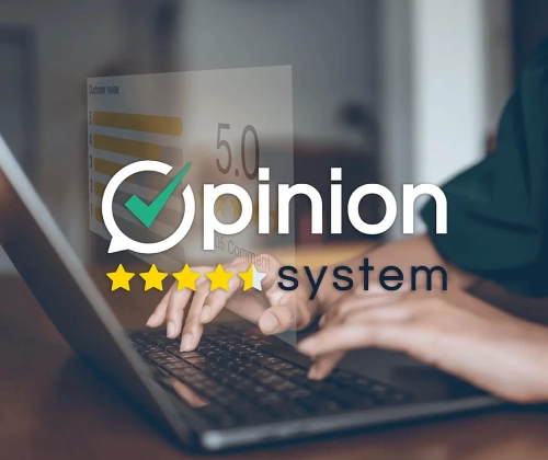 Opinion System