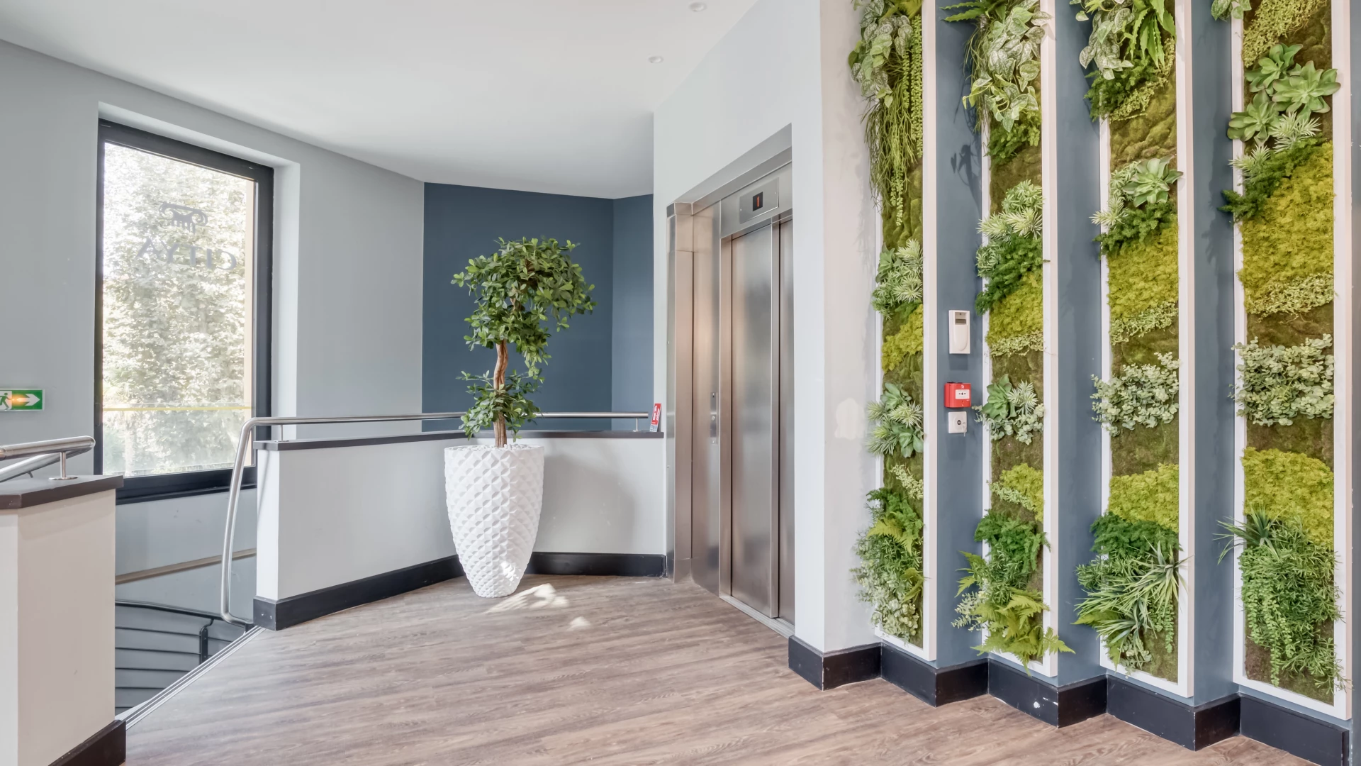 Photo de Citya Dalbera - 3