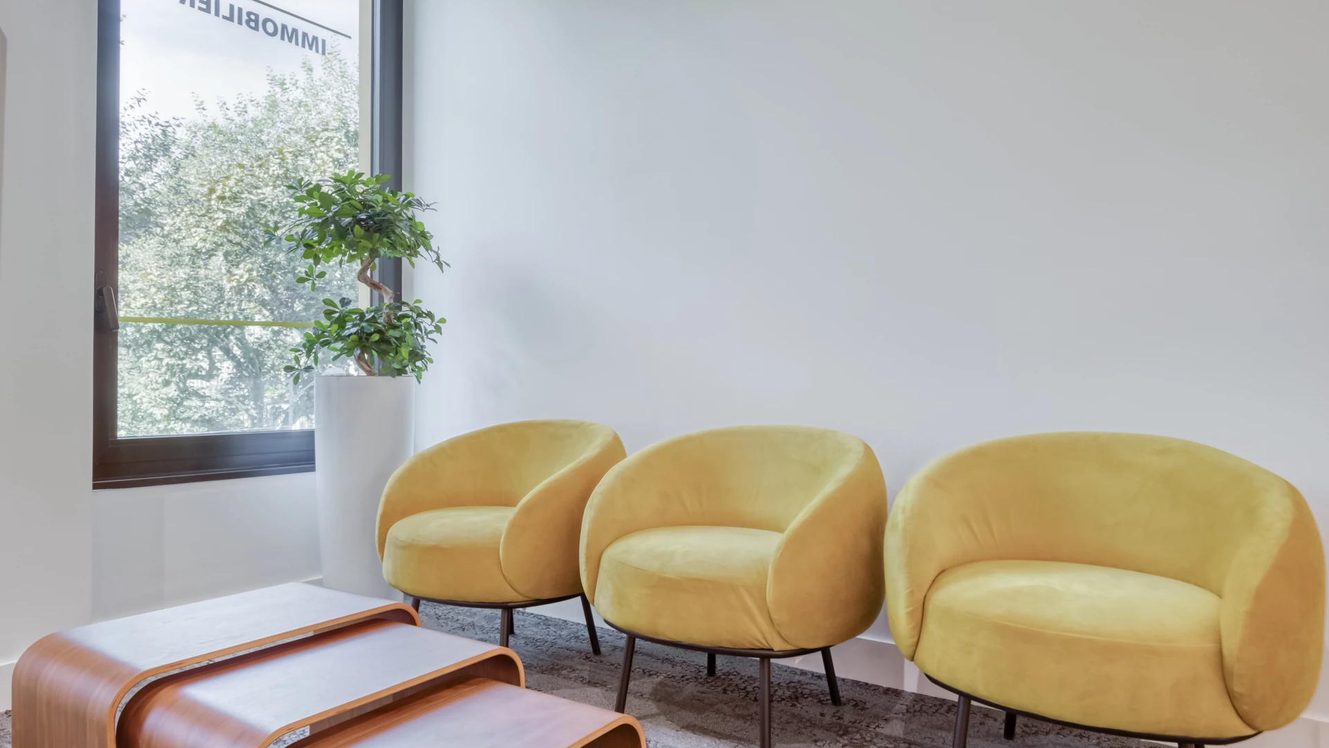 Photo de Citya Dalbera - 8