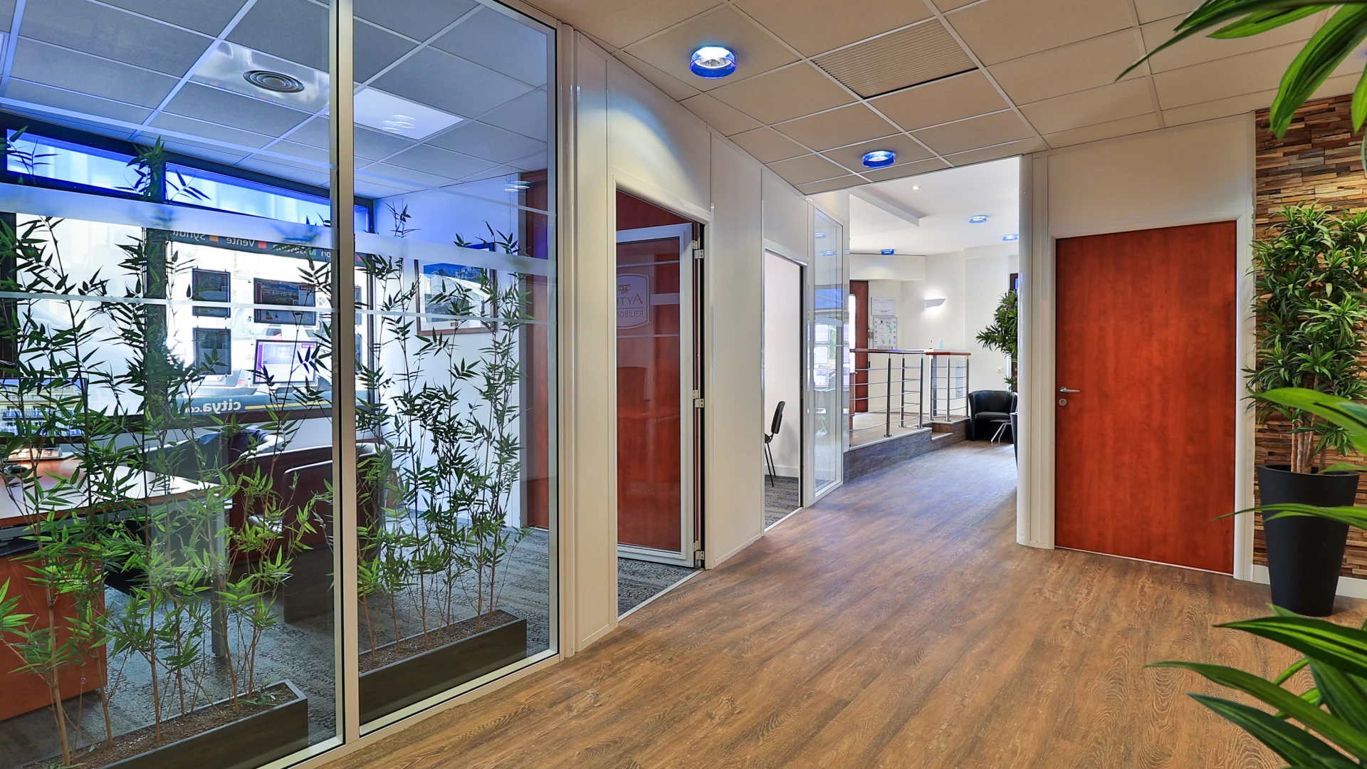 Photo de Citya Estublier - 6