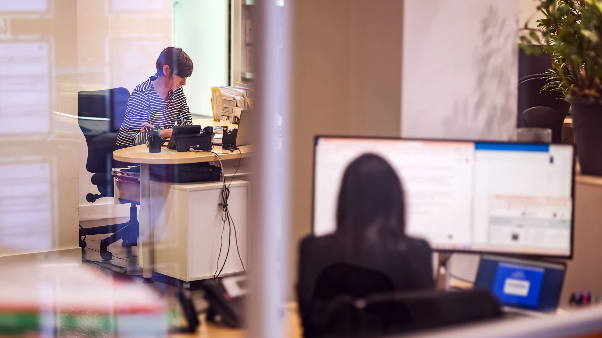 Photo de Citya Naudin - 14