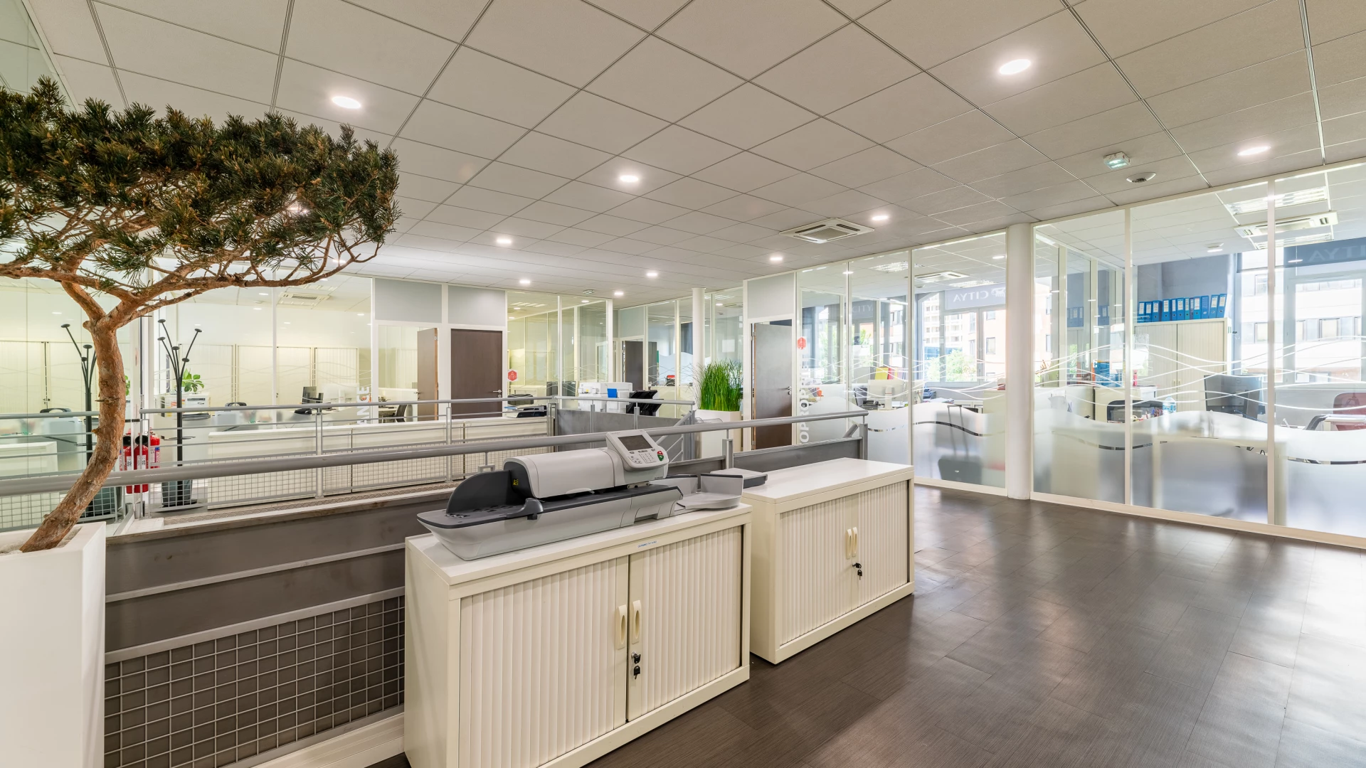 Photo de Citya Gerimmo - 10