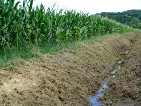 Chacun doit supporter l'écoulement naturel des eaux de pluie