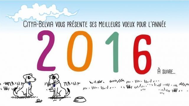 Meilleurs Vœux 2016 !