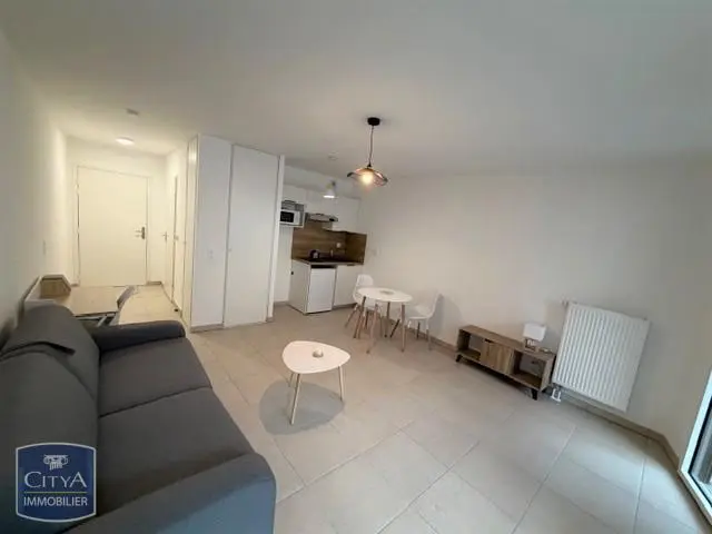 Photo 3 Appartement 1 pièce 29.17m²