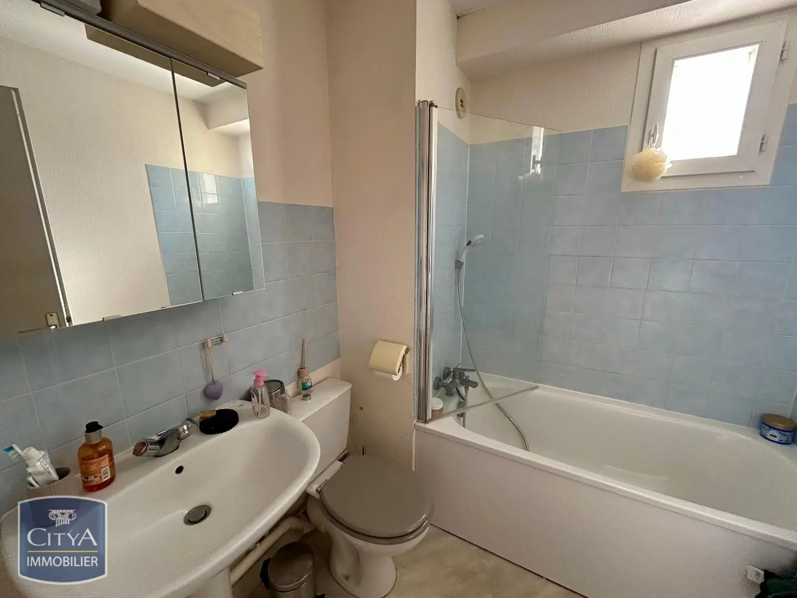 Photo 4 Appartement 1 pièce 20.42m²