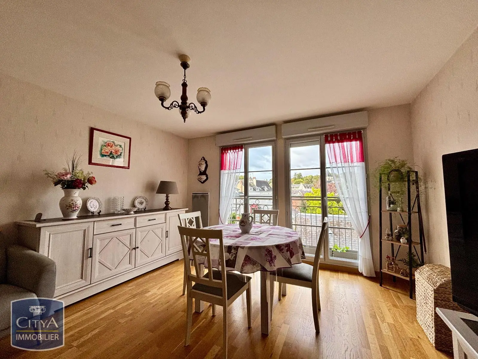 Photo 1 appartement Amboise