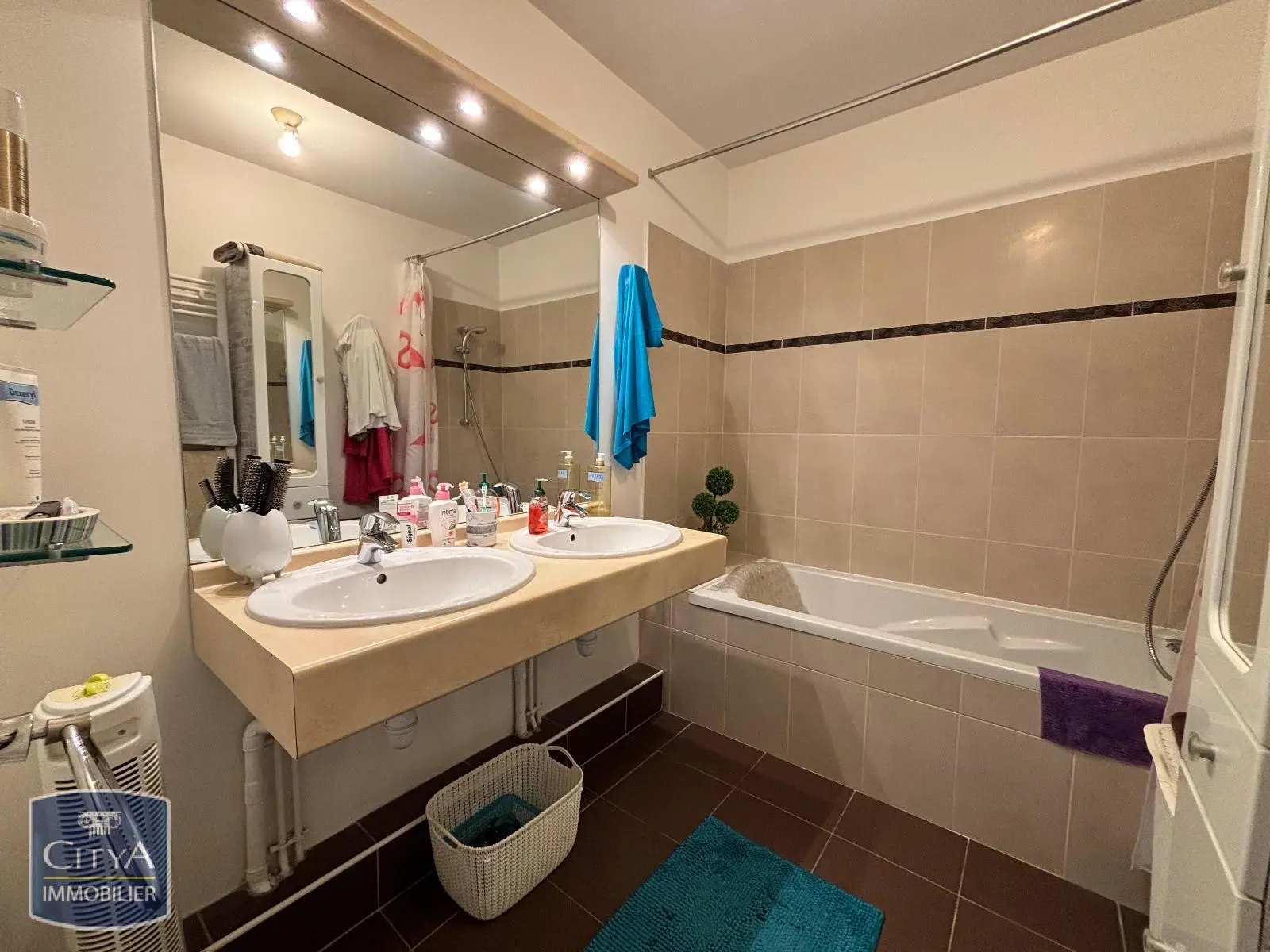 Photo 7 appartement Amboise