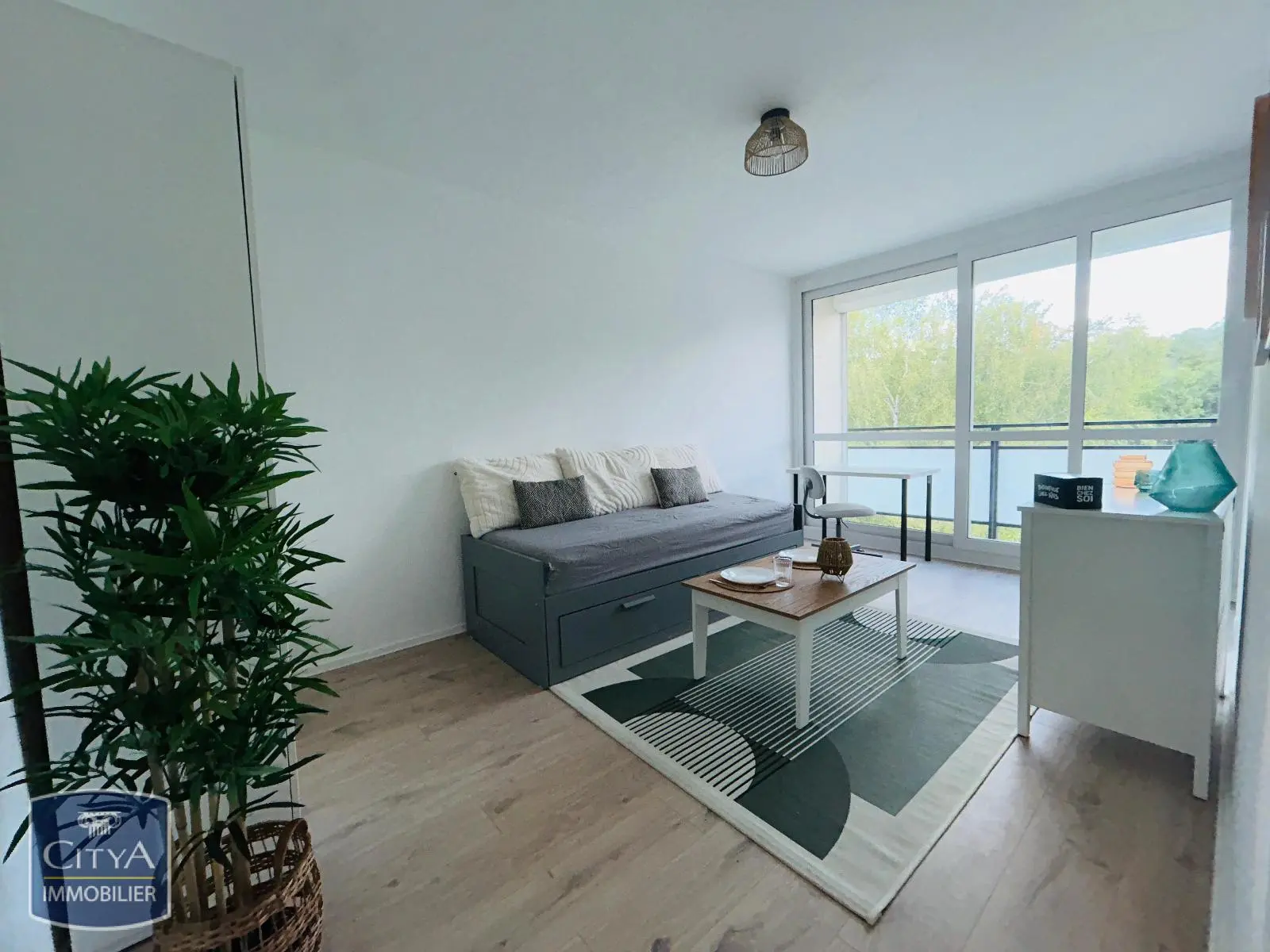 Photo 1 Appartement 1 pièce 20.01m²