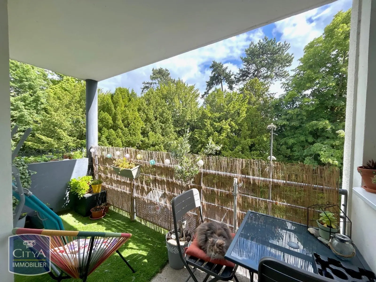 Photo 1 Appartement 2 pièces 54.16m²