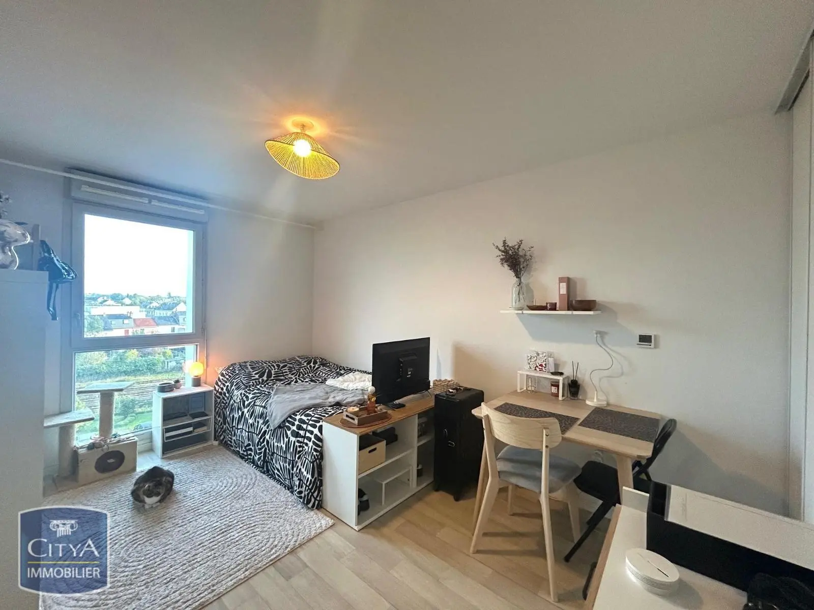 Photo 1 Appartement 1 pièce 19.54m²