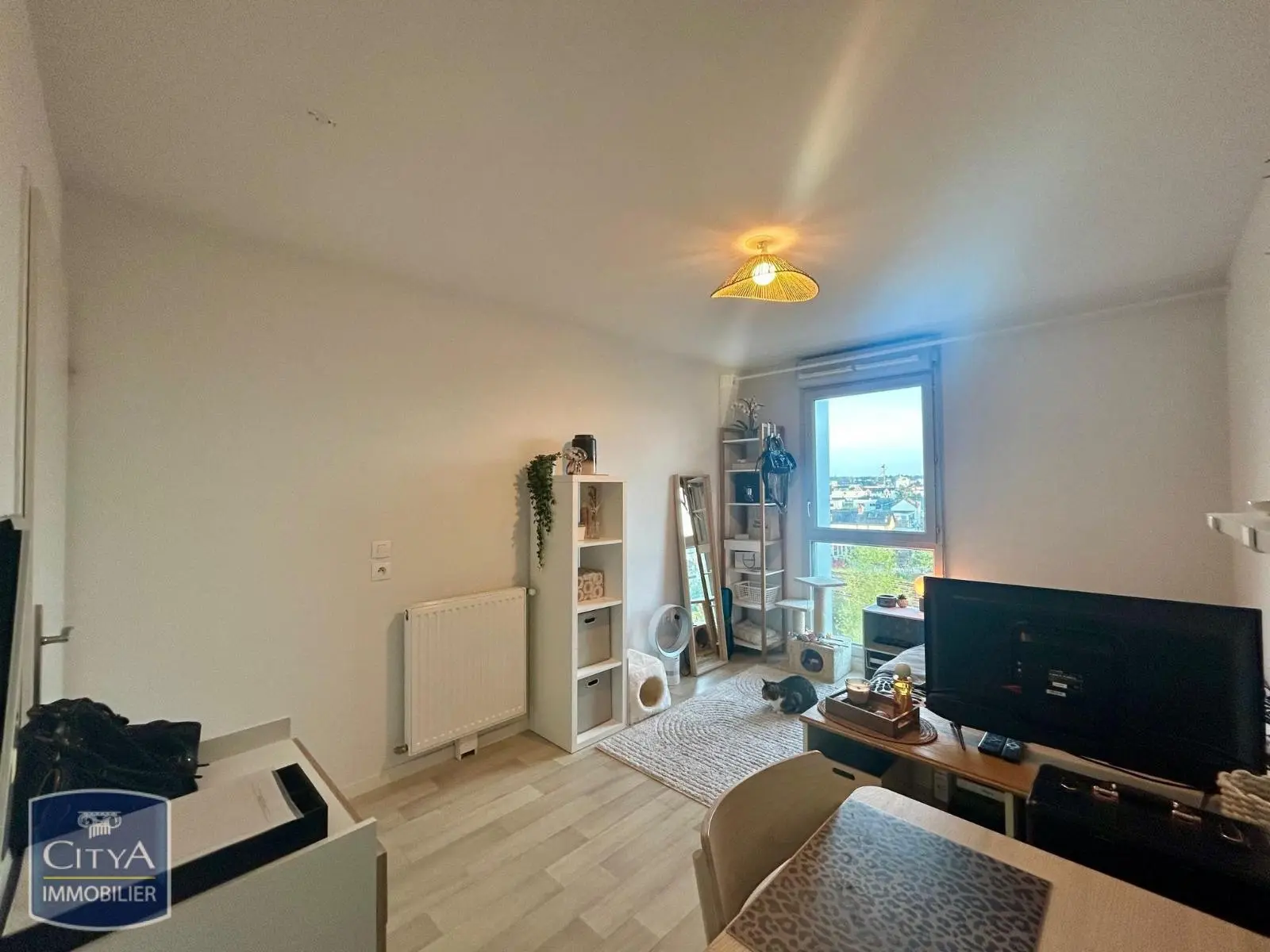 Photo 3 Appartement 1 pièce 19.54m²