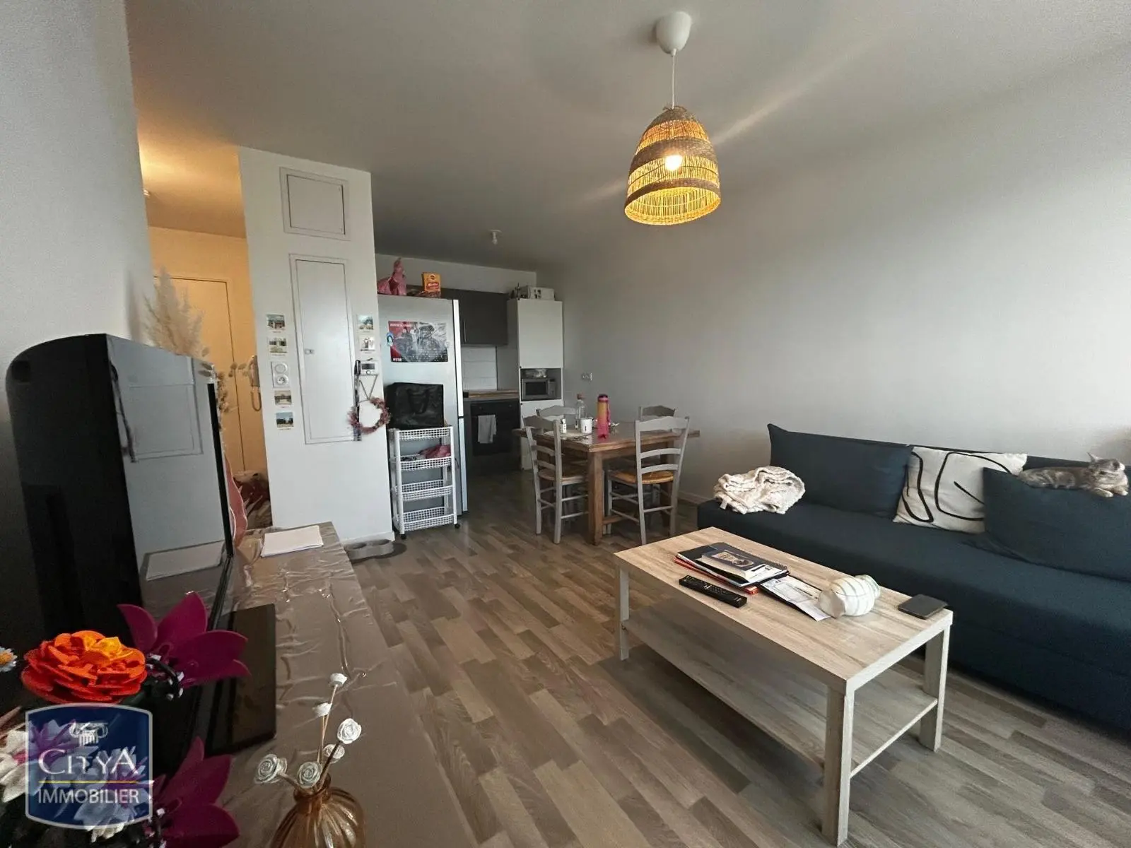 Photo 2 Appartement 2 pièces 39.17m²