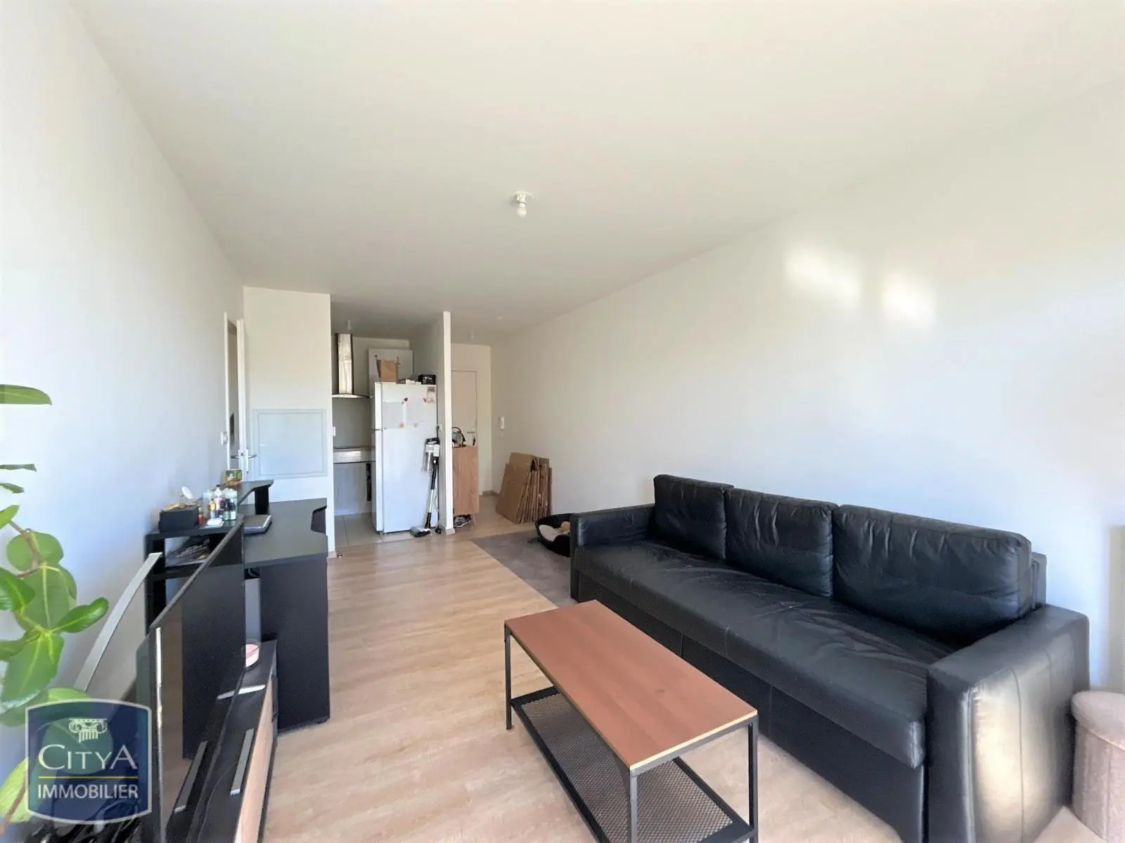 Photo 1 appartement Tours