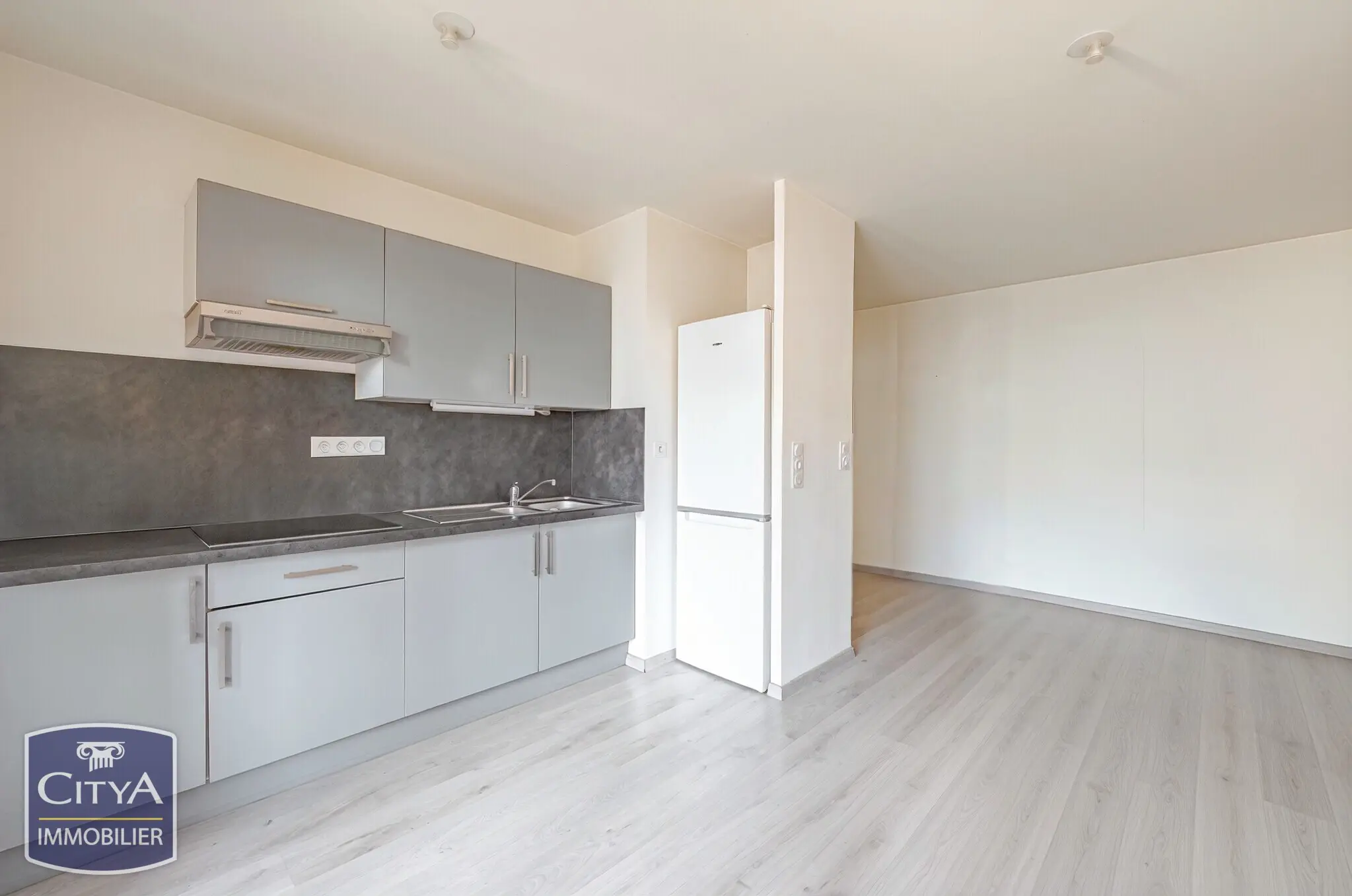 Photo 3 appartement Tours