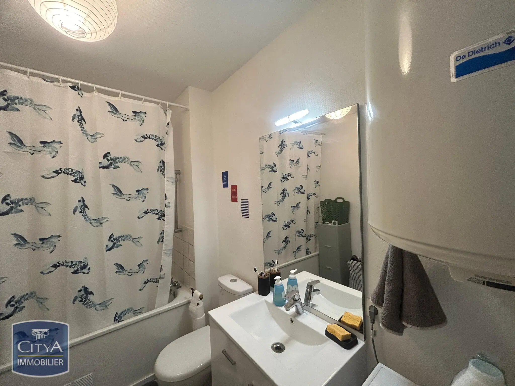 Photo 3 Appartement 1 pièce 29m²