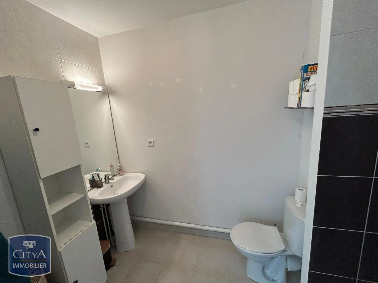 Photo 5 appartement Joué-lès-Tours