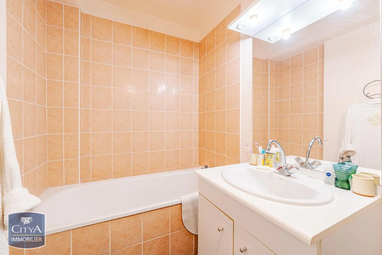 Photo 9 appartement Tours