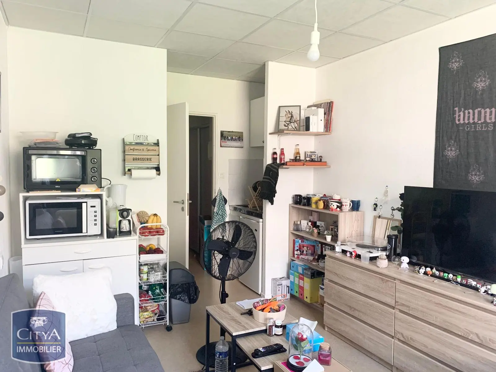 Photo 2 Appartement 1 pièce 20m²