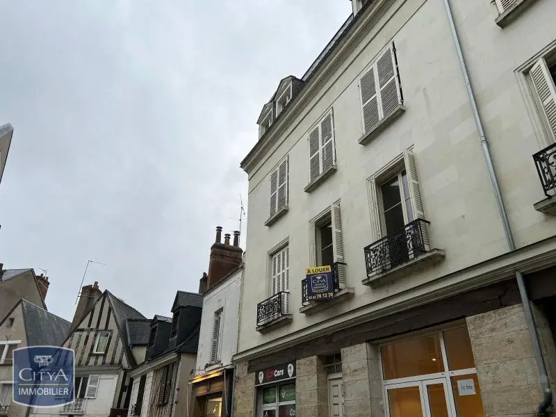 Photo 8 appartement Tours