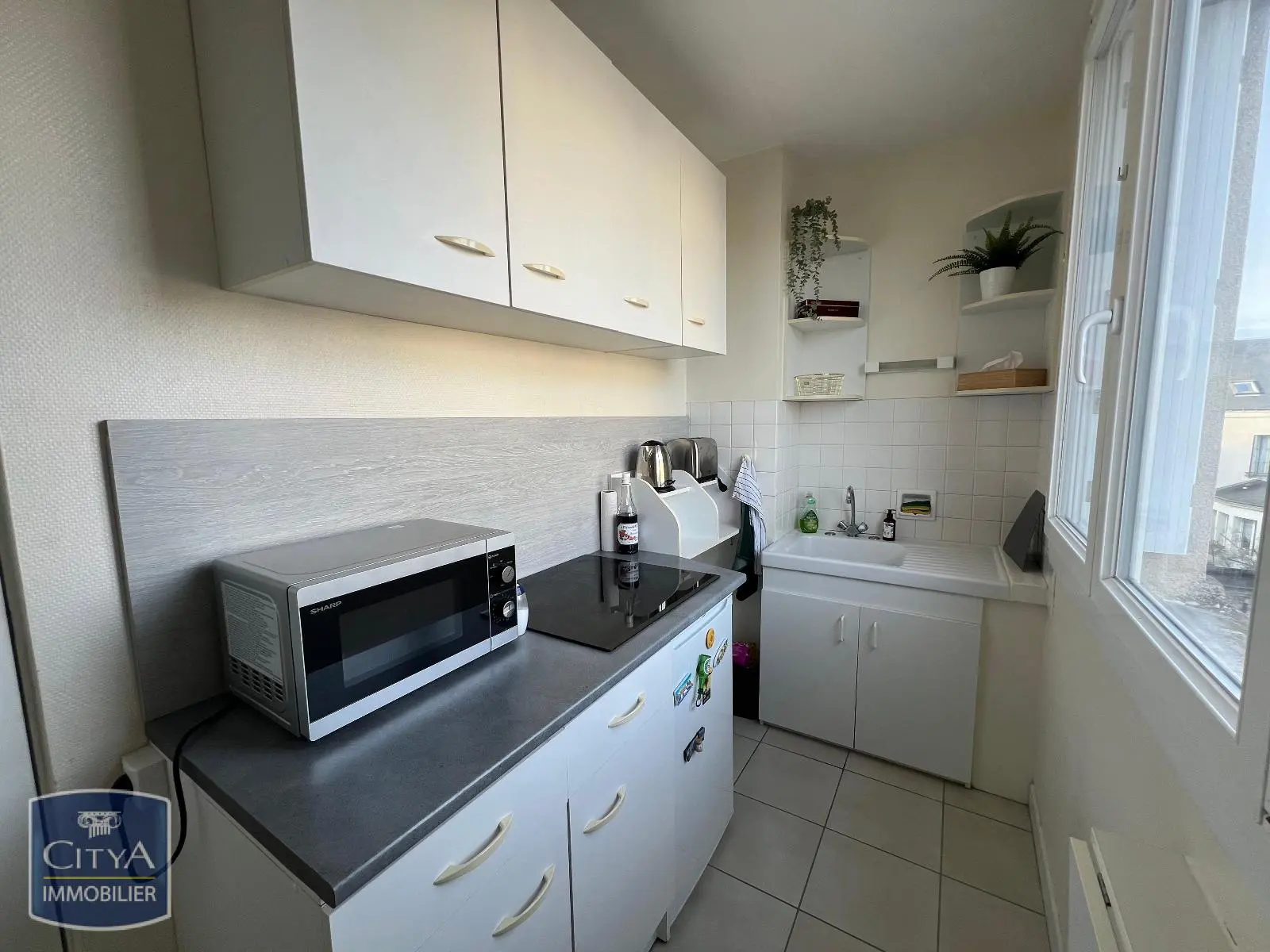 Photo 1 appartement Tours