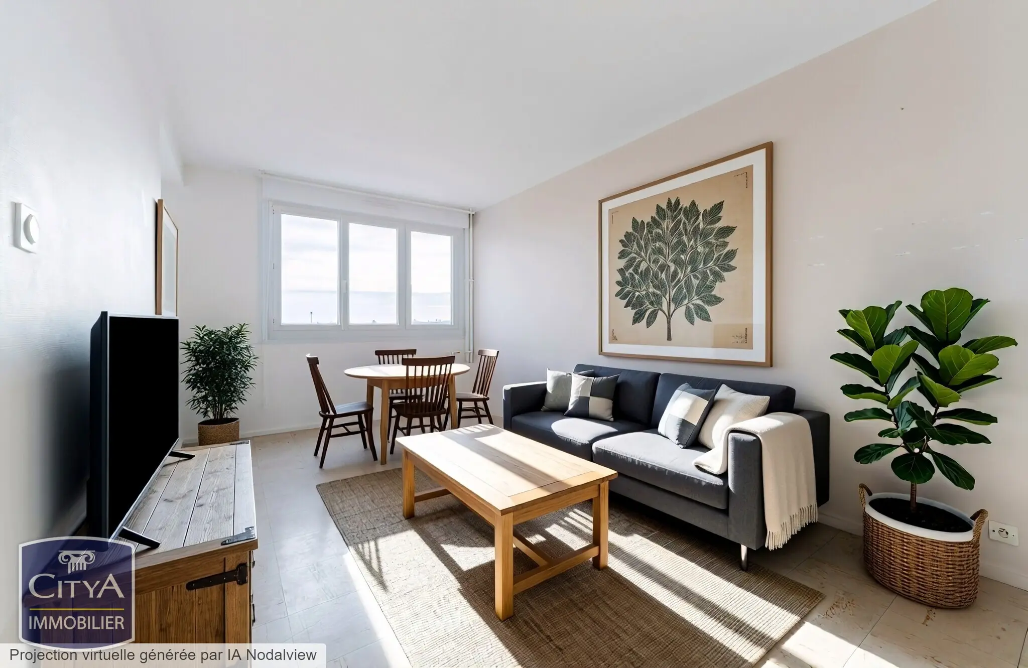 Photo 1 Appartement 1 pièce 25.52m²