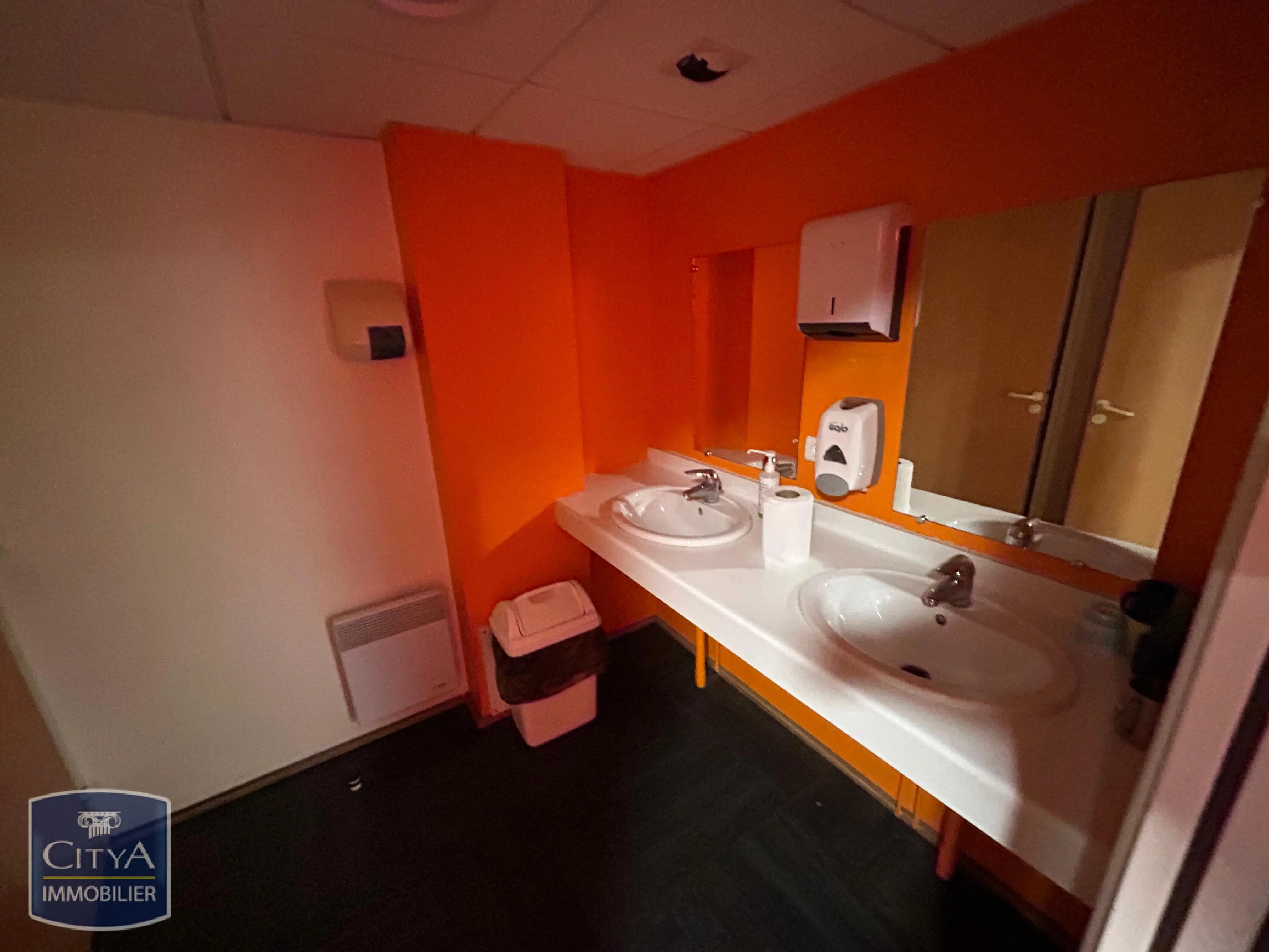 Photo 6 Fonds De Commerce 390m²