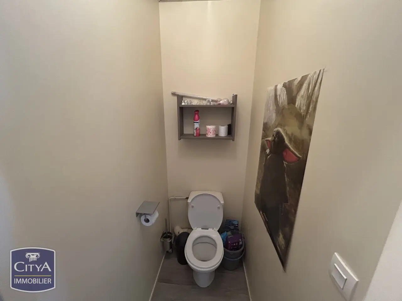 Photo 6 appartement Tours