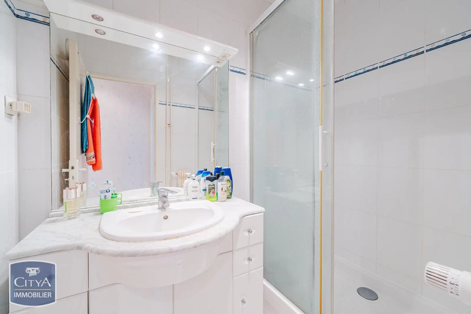 Photo 5 appartement Saint-Pierre-des-Corps