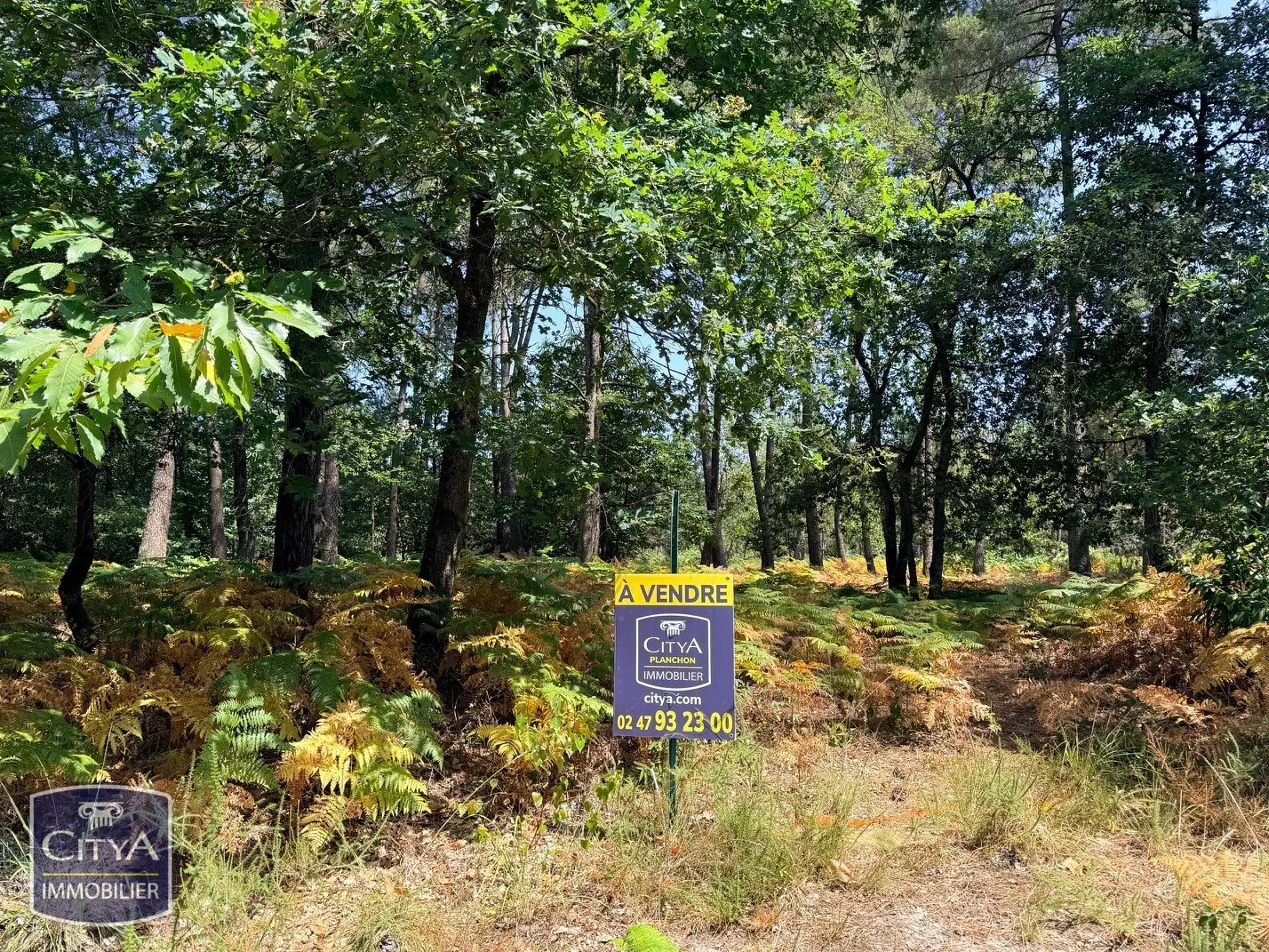 Photo 1 Terrain