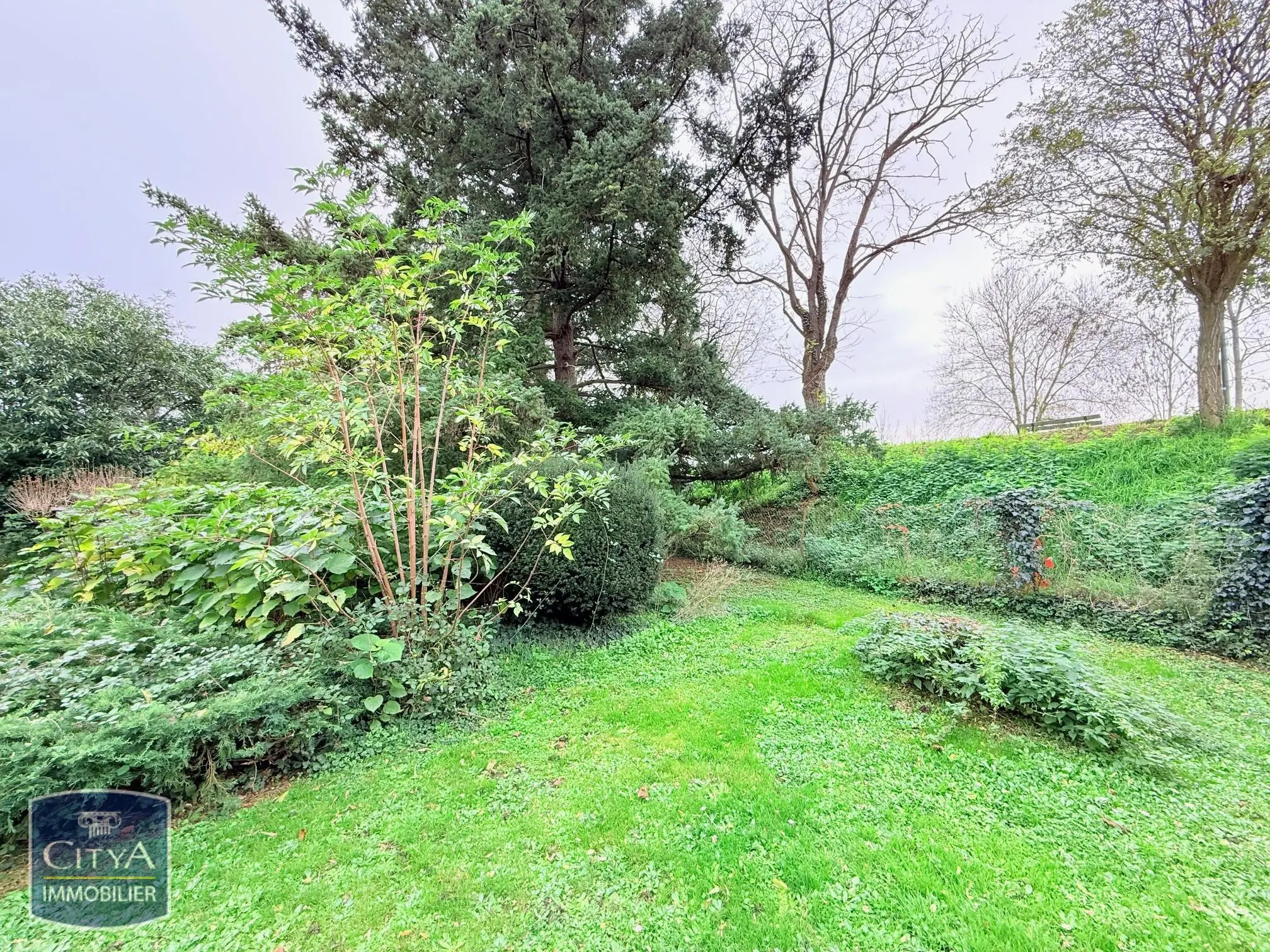 Photo 16 maison Chinon