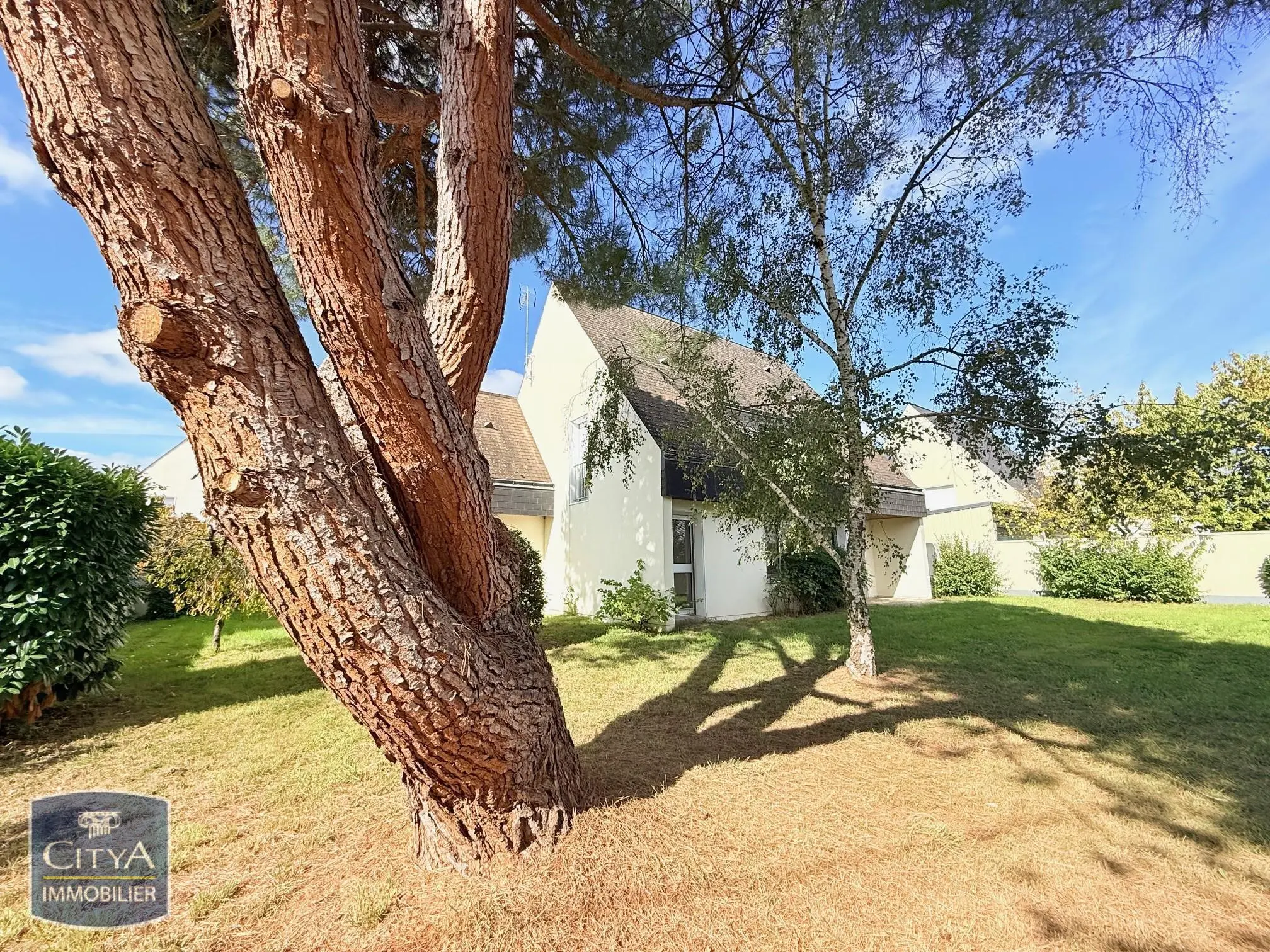 Photo 6 maison Bourgueil