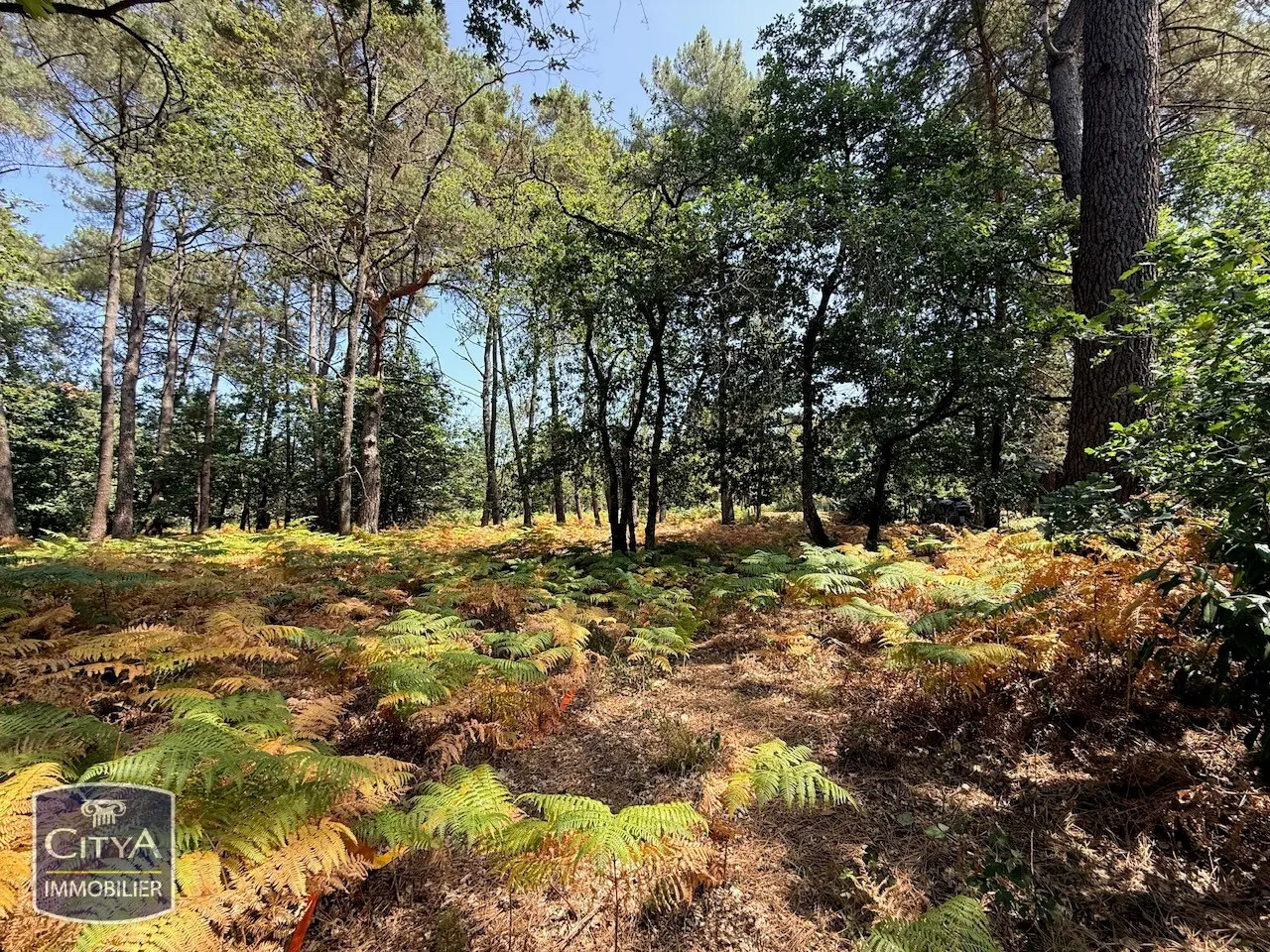 Photo 2 Terrain