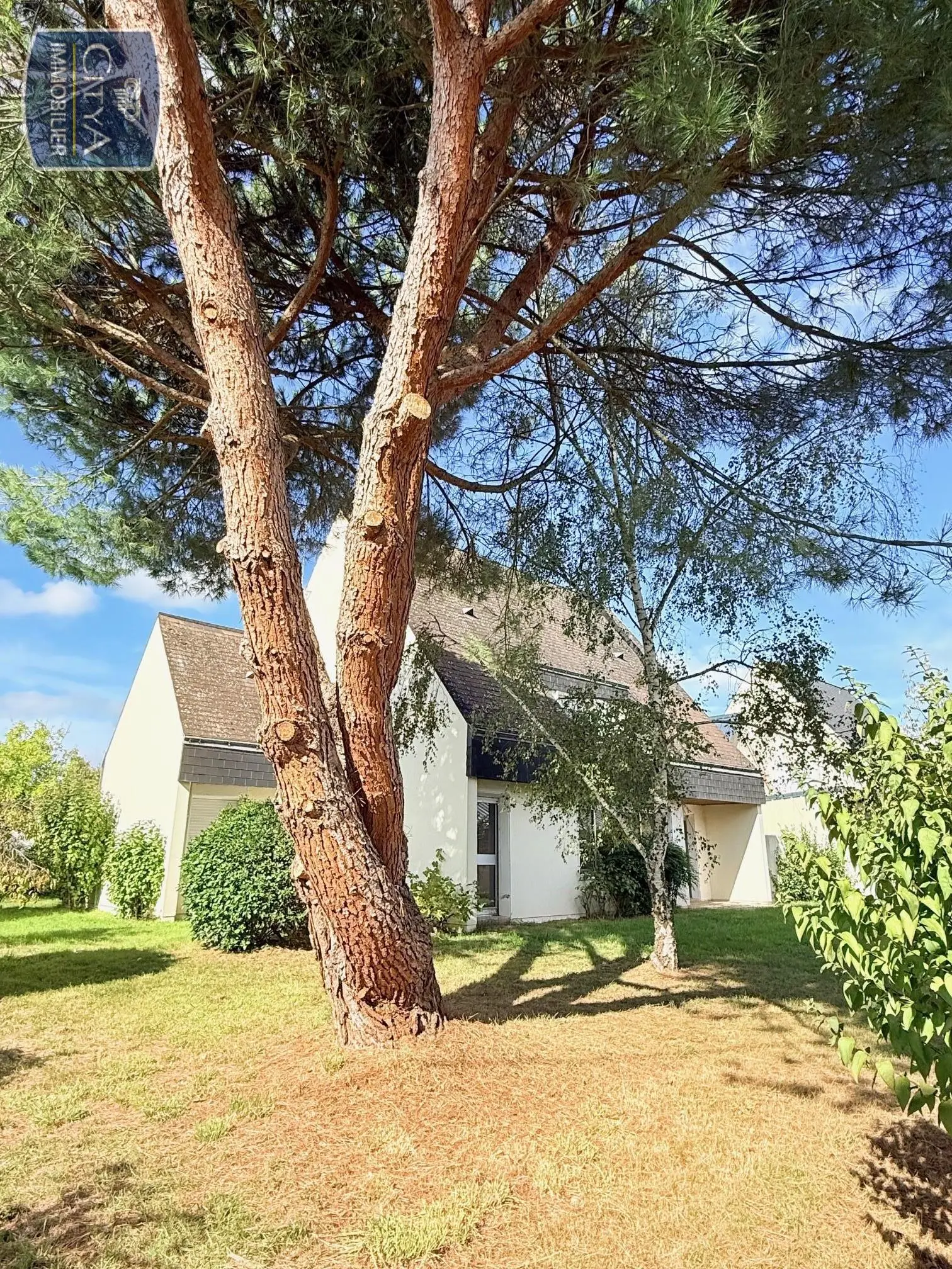 Photo 7 maison Bourgueil