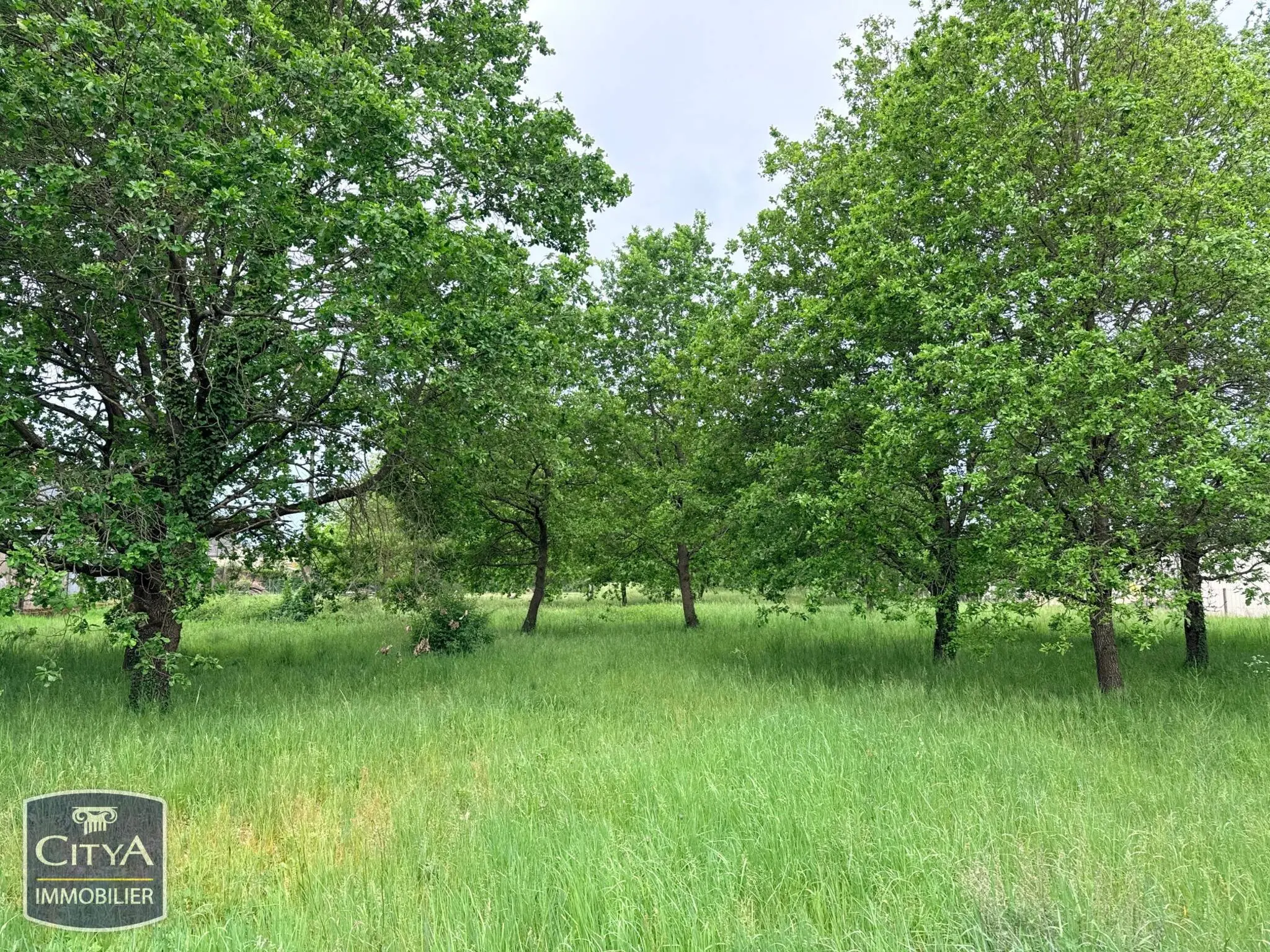 Photo 1 Terrain