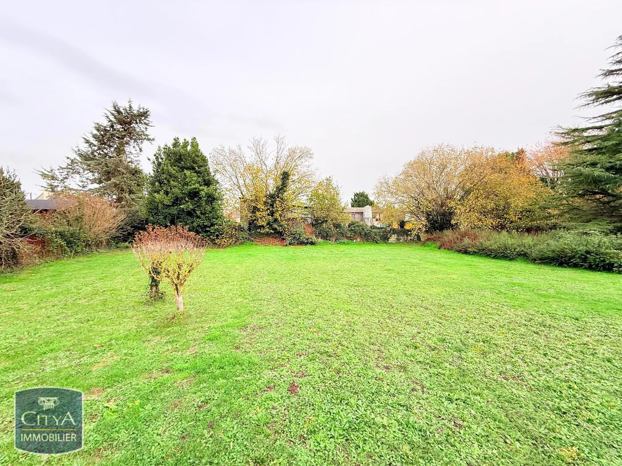 Photo 11 maison Chinon