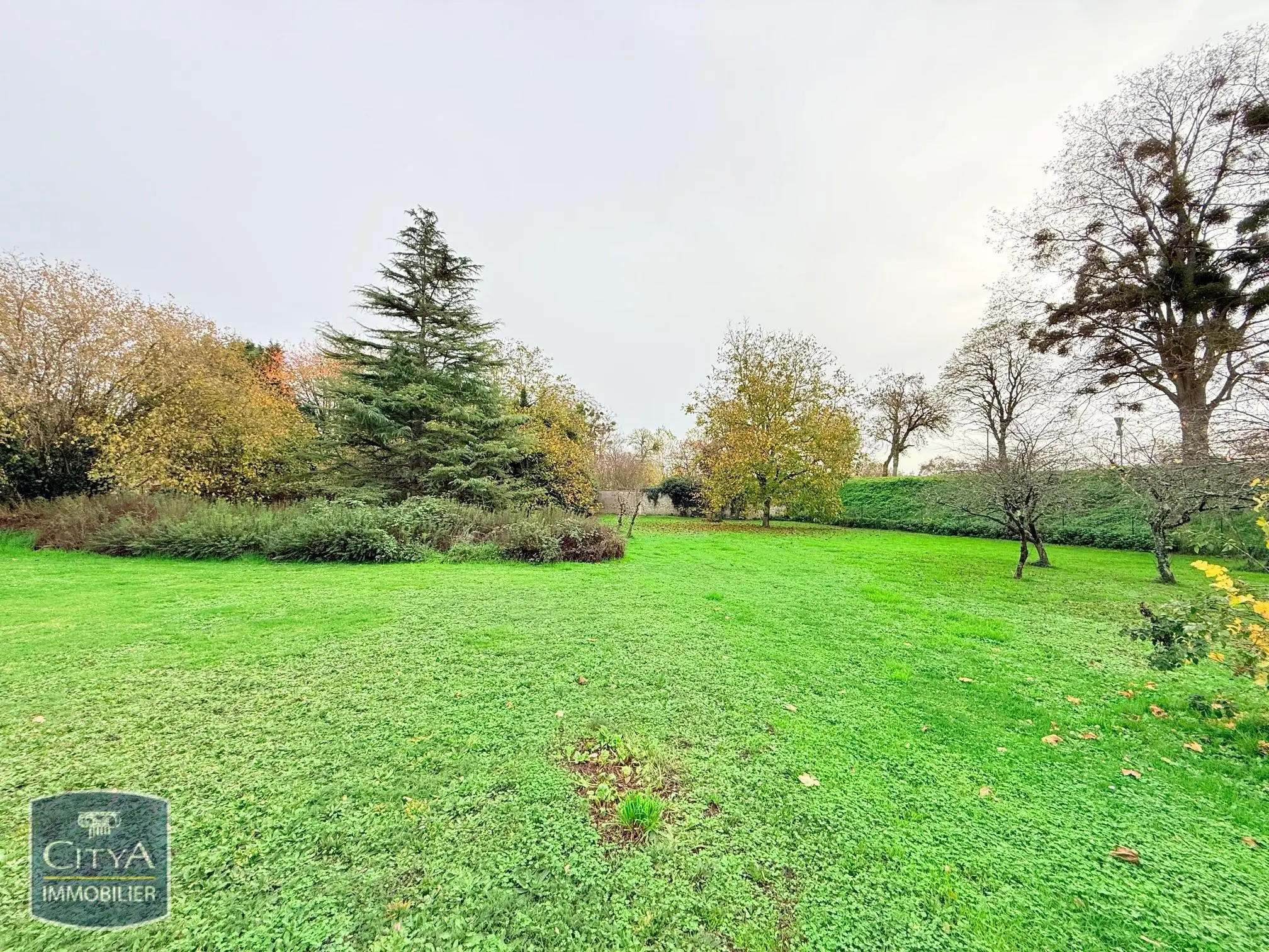 Photo 8 maison Chinon