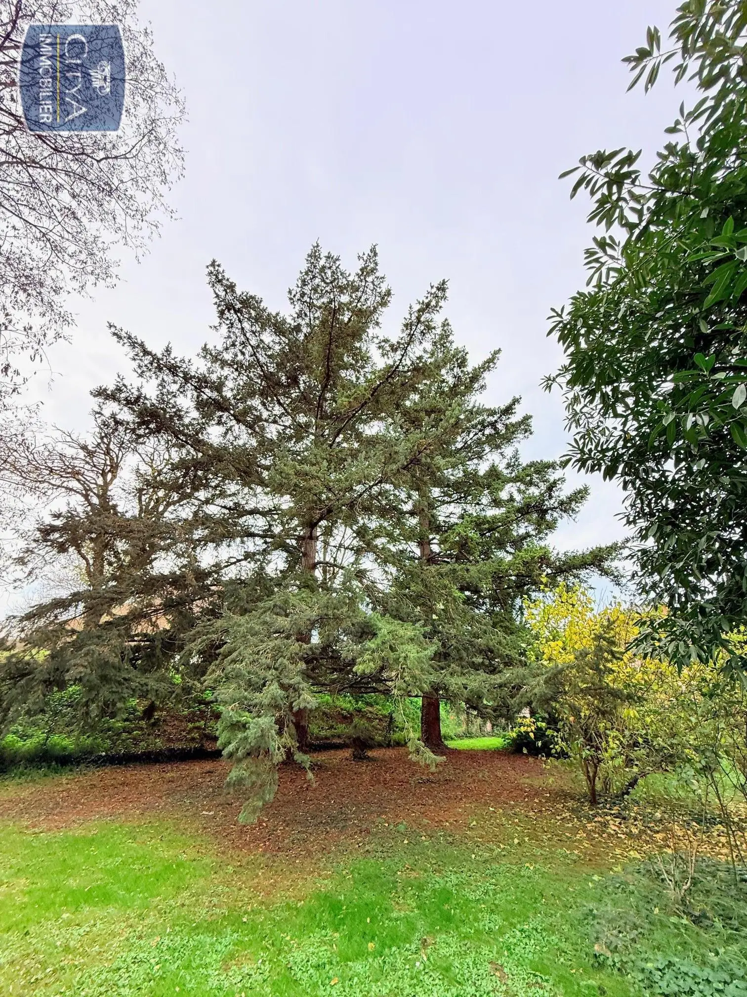 Photo 10 maison Chinon