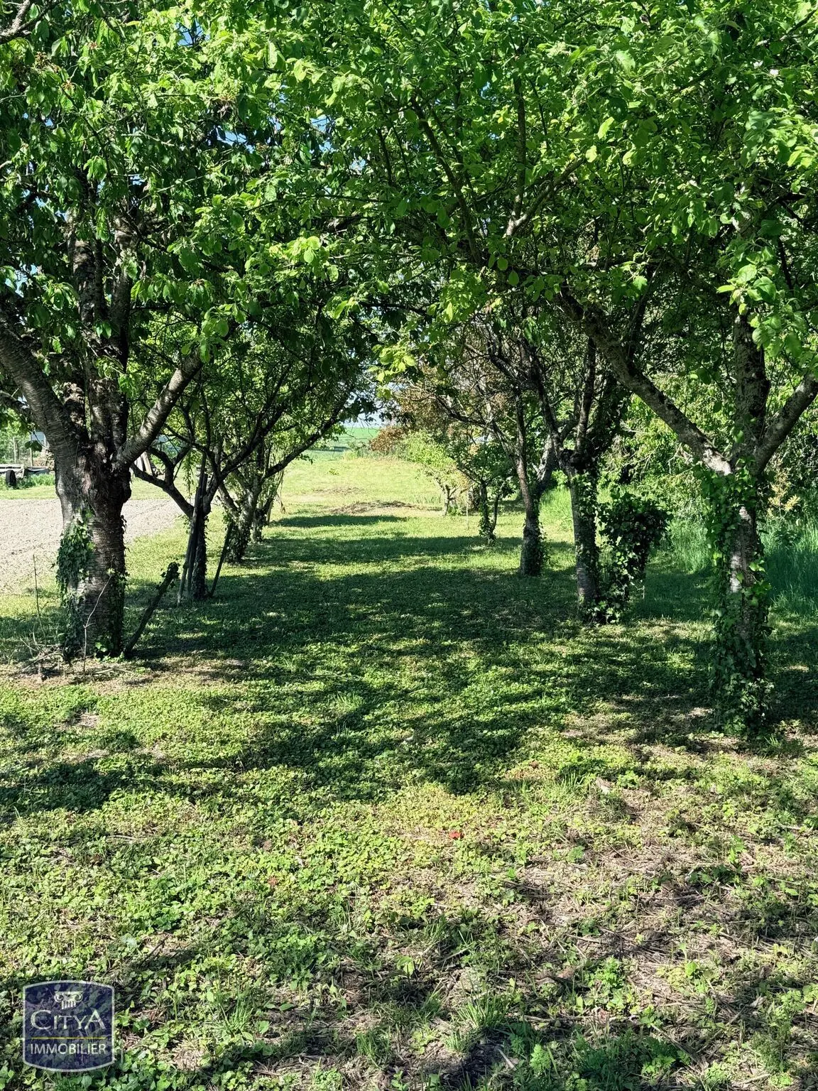 Photo 18 maison Lerné