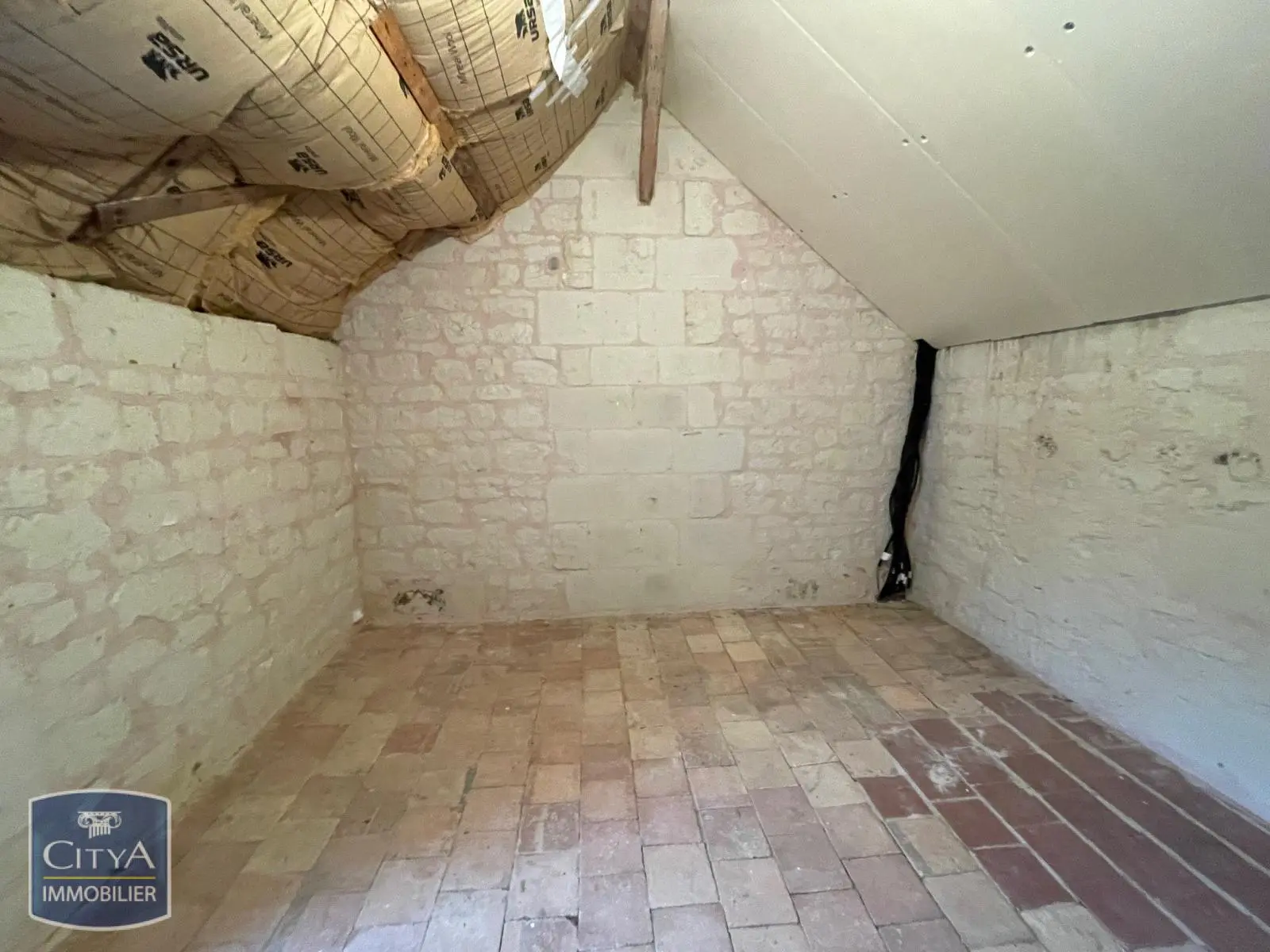 Photo 10 maison Chinon