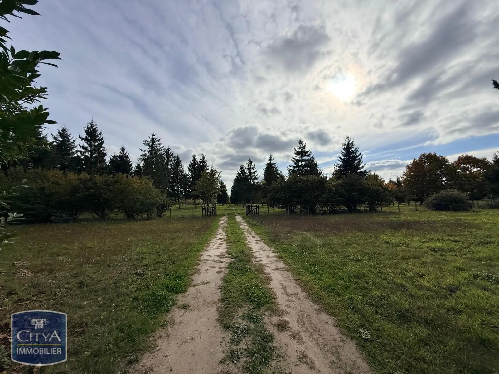 Photo 5 Terrain 50000m²