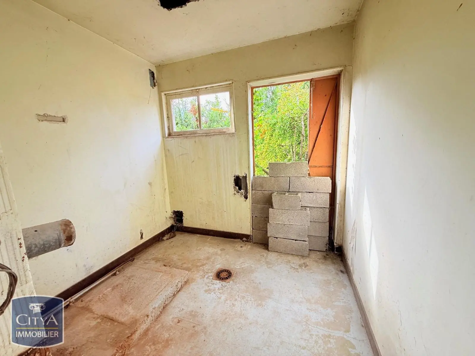 Photo 13 Terrain 50000m²