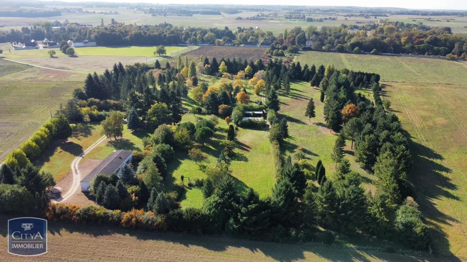 Photo 1 Terrain 50000m²