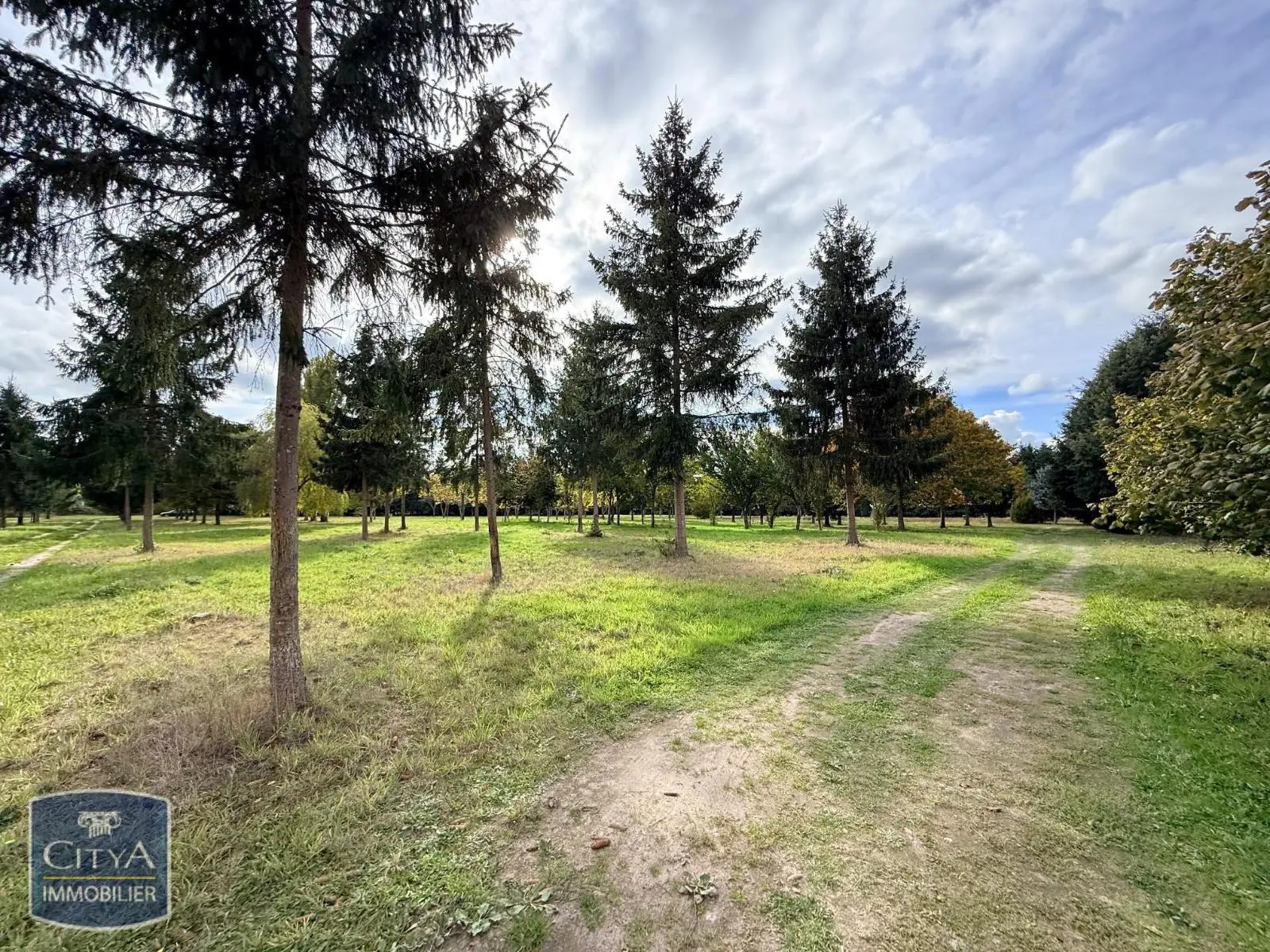 Photo 2 Terrain 50000m²