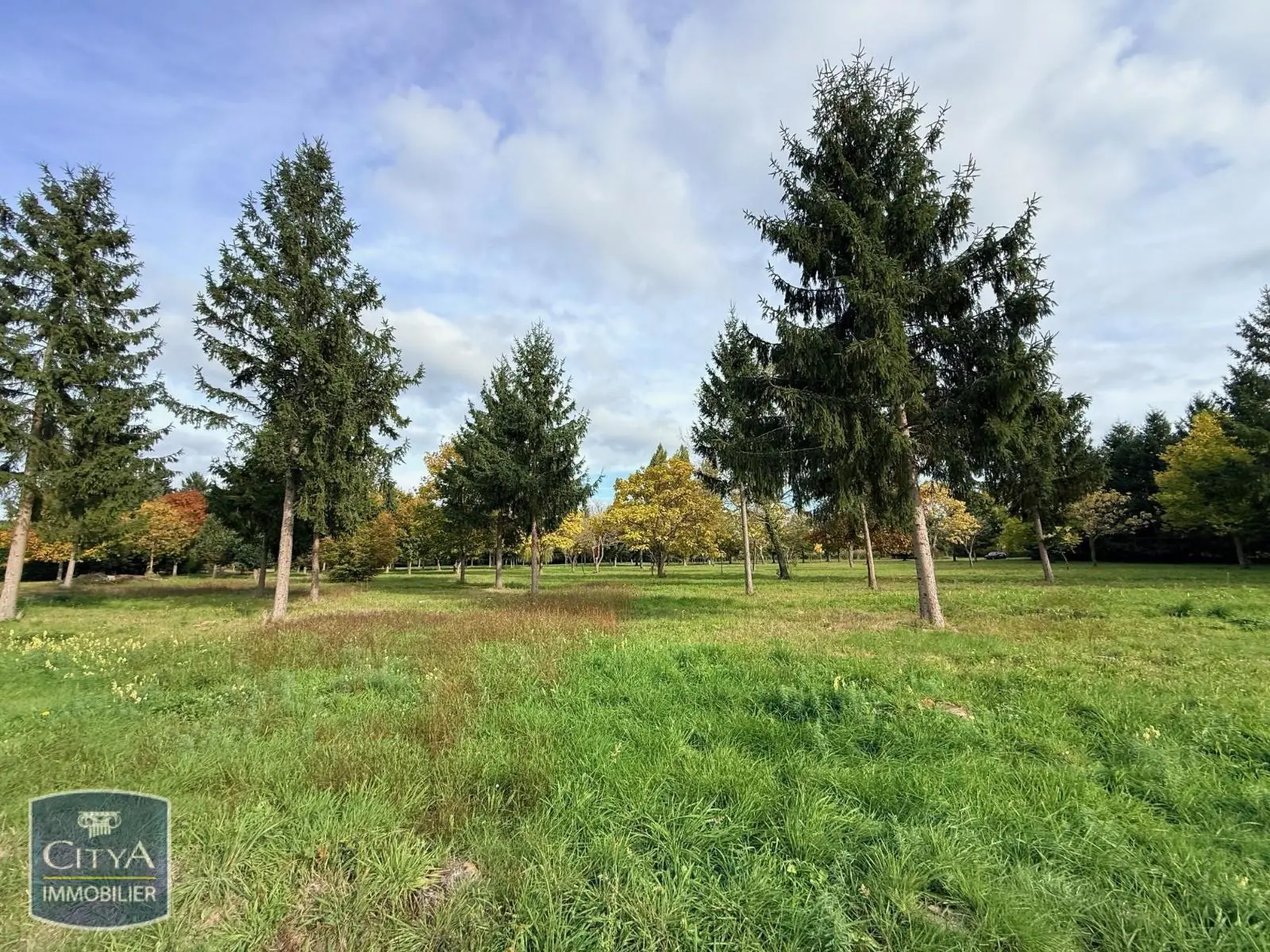 Photo 4 Terrain 50000m²