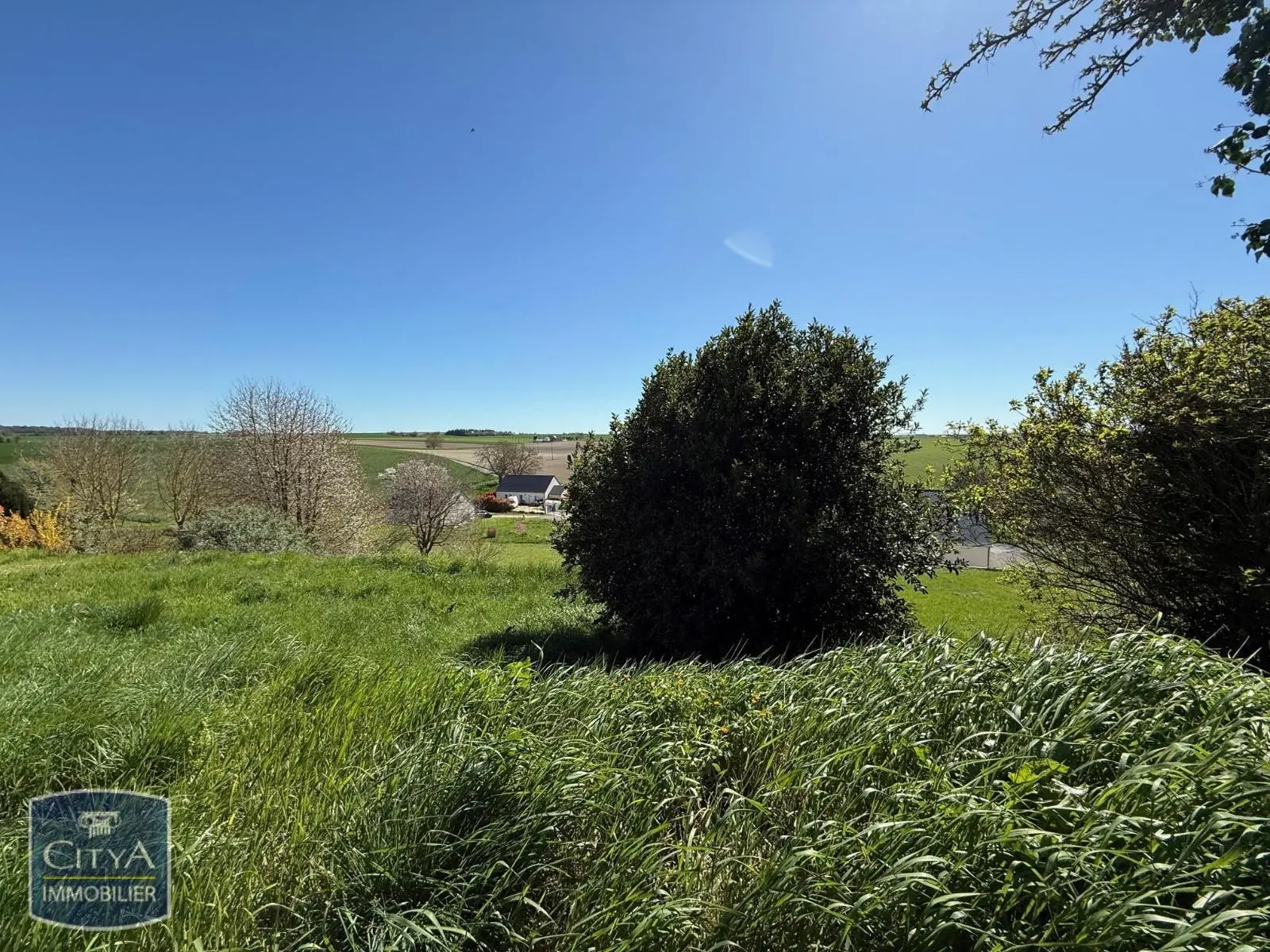 Photo 1 Terrain 1981m²