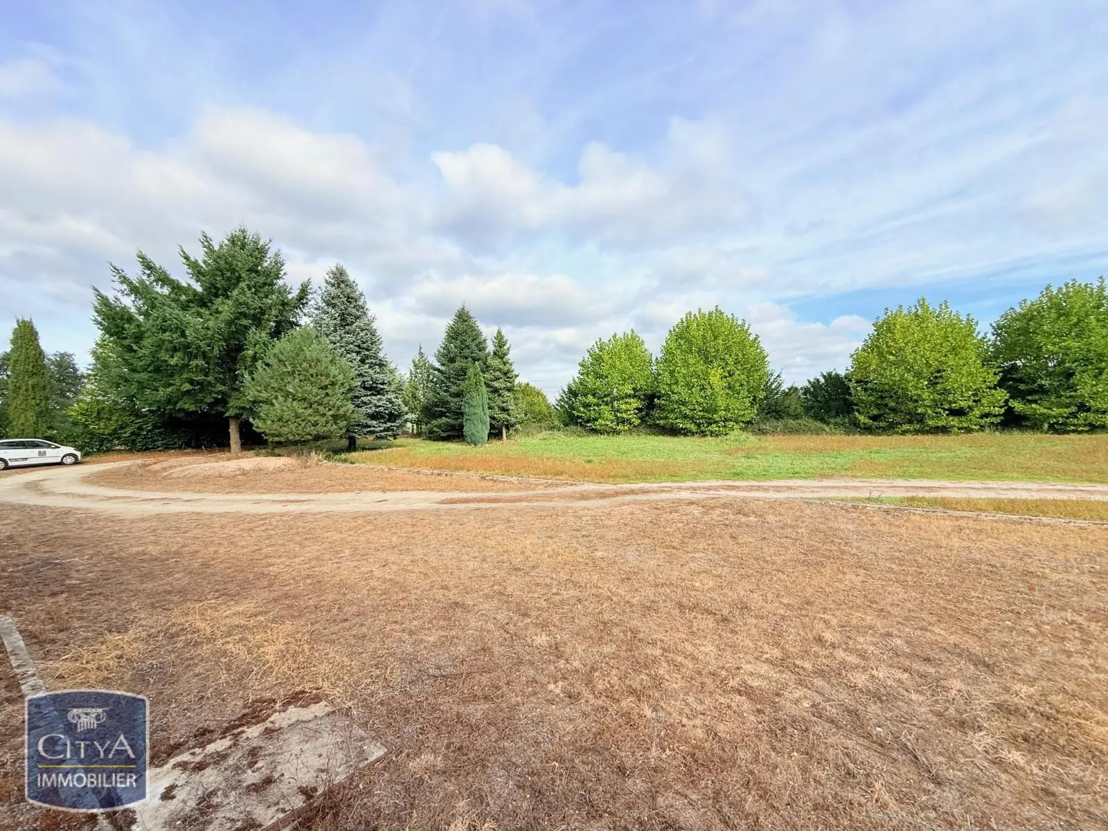Photo 3 Terrain 50000m²
