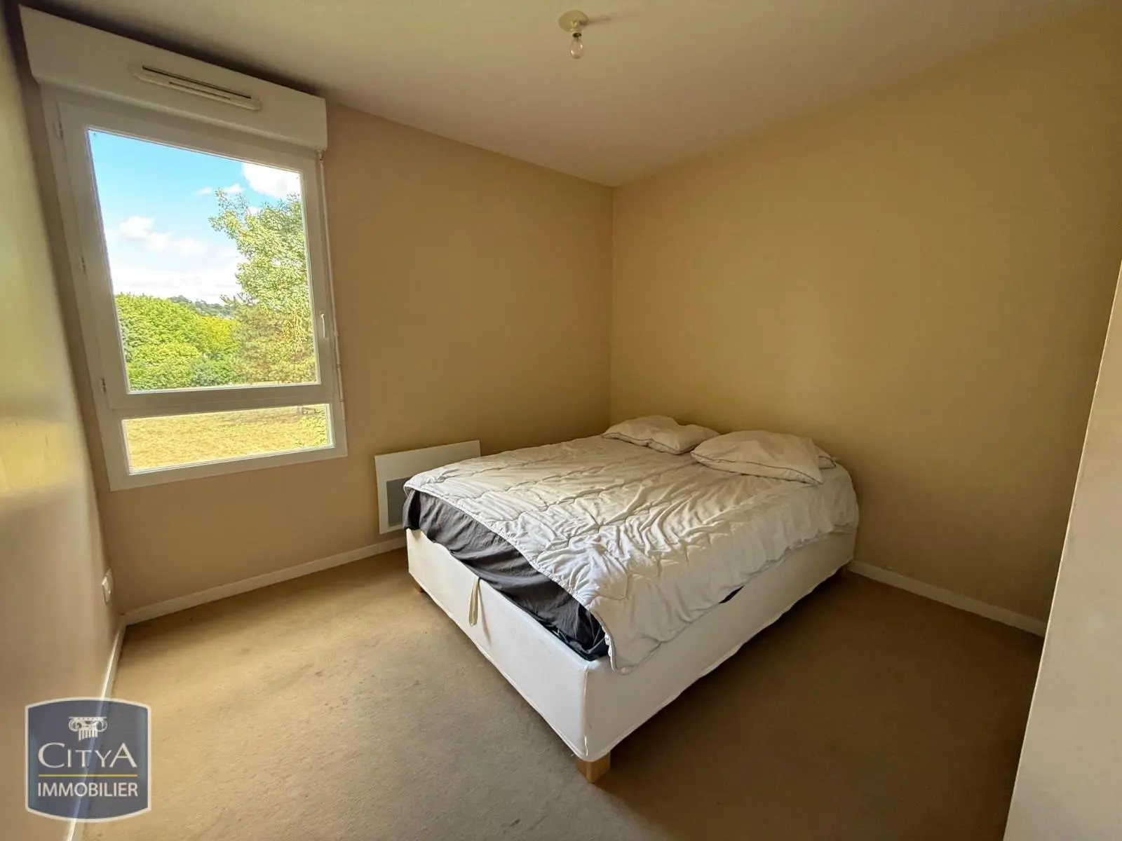 Photo 8 appartement Chinon