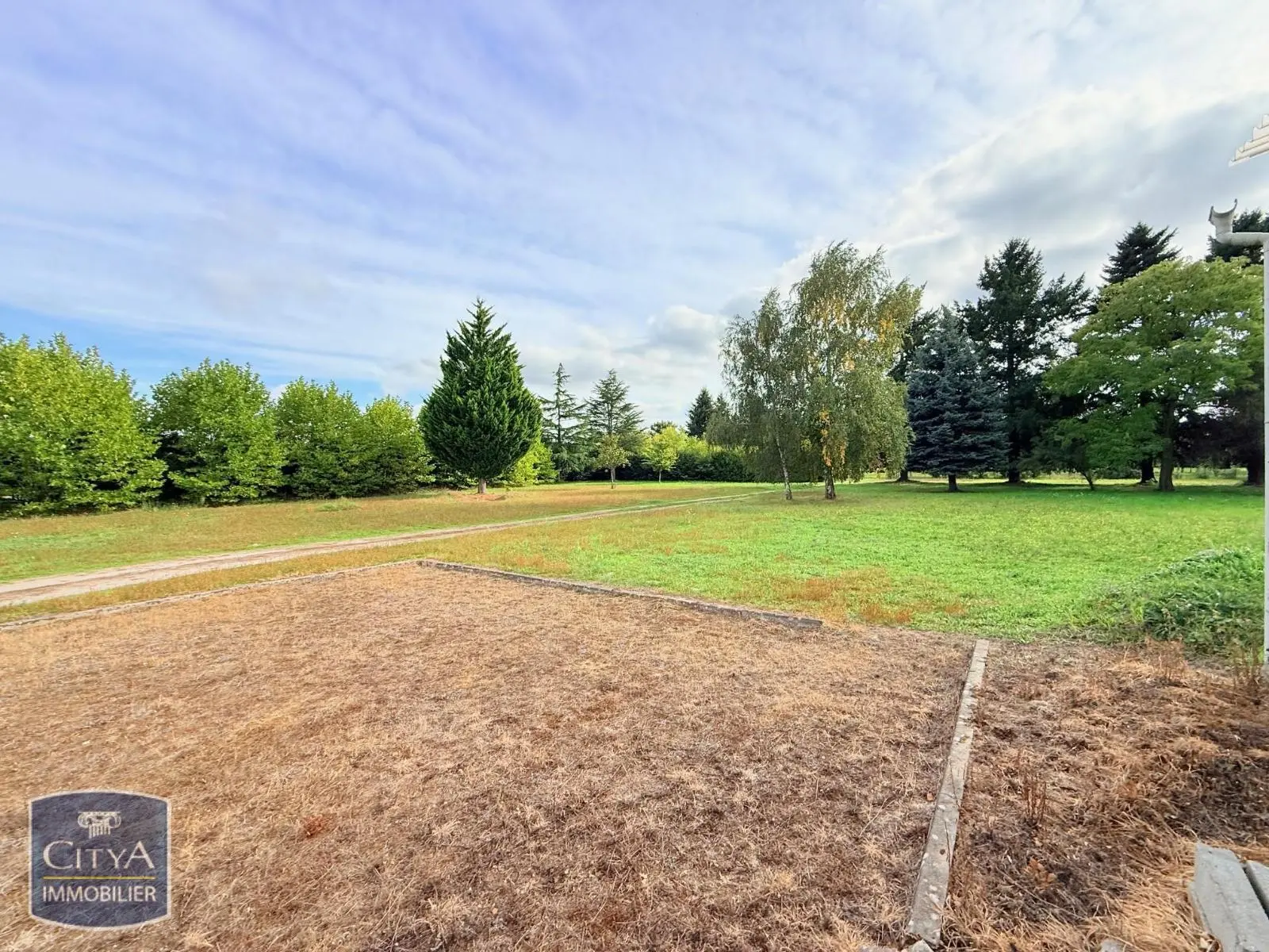 Photo 6 Terrain 50000m²