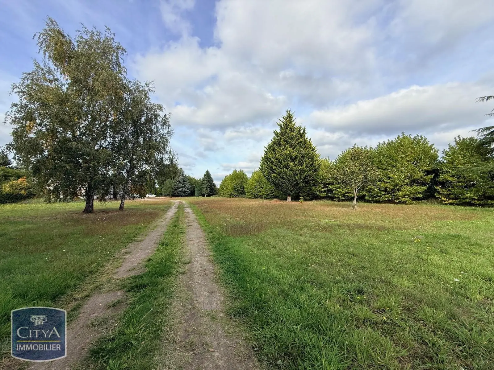 Photo 7 Terrain 50000m²